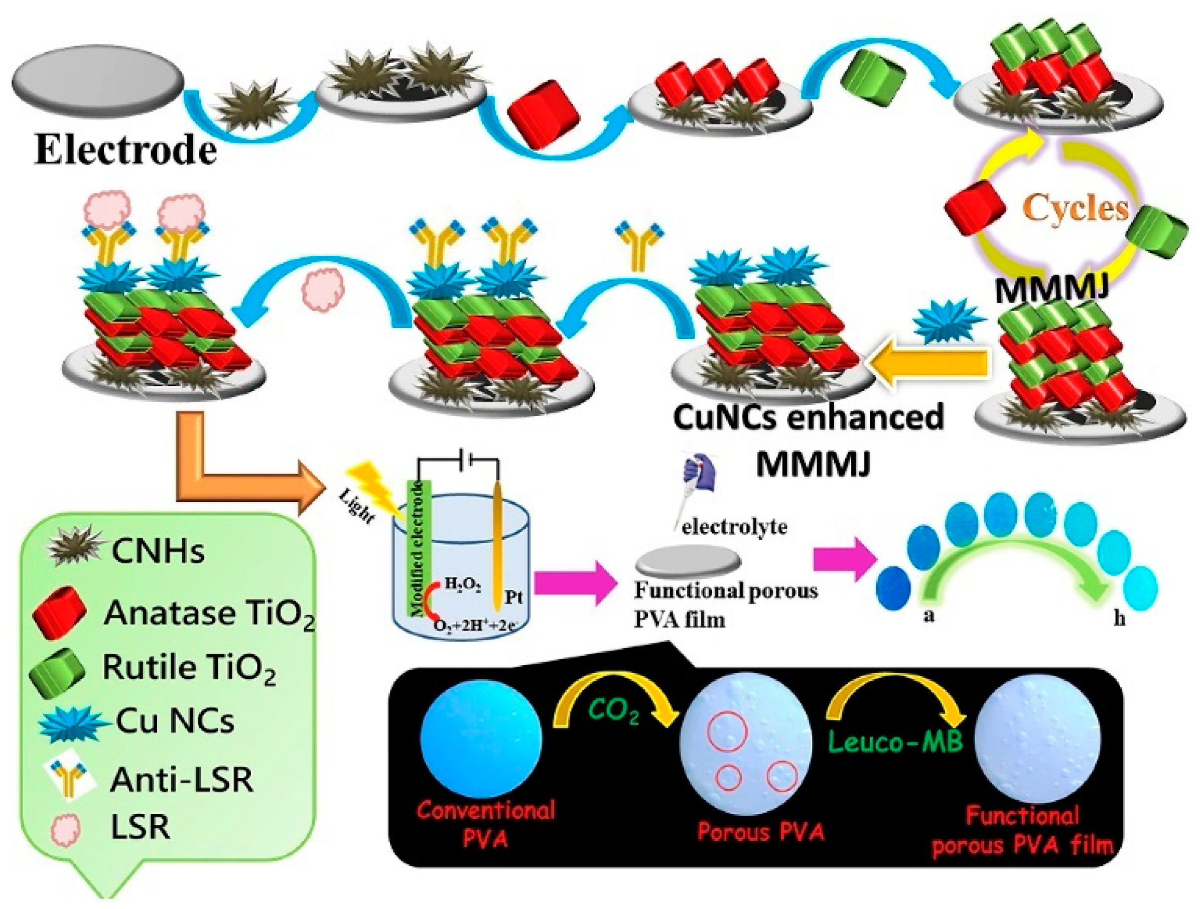 Molecules 29 04551 g019