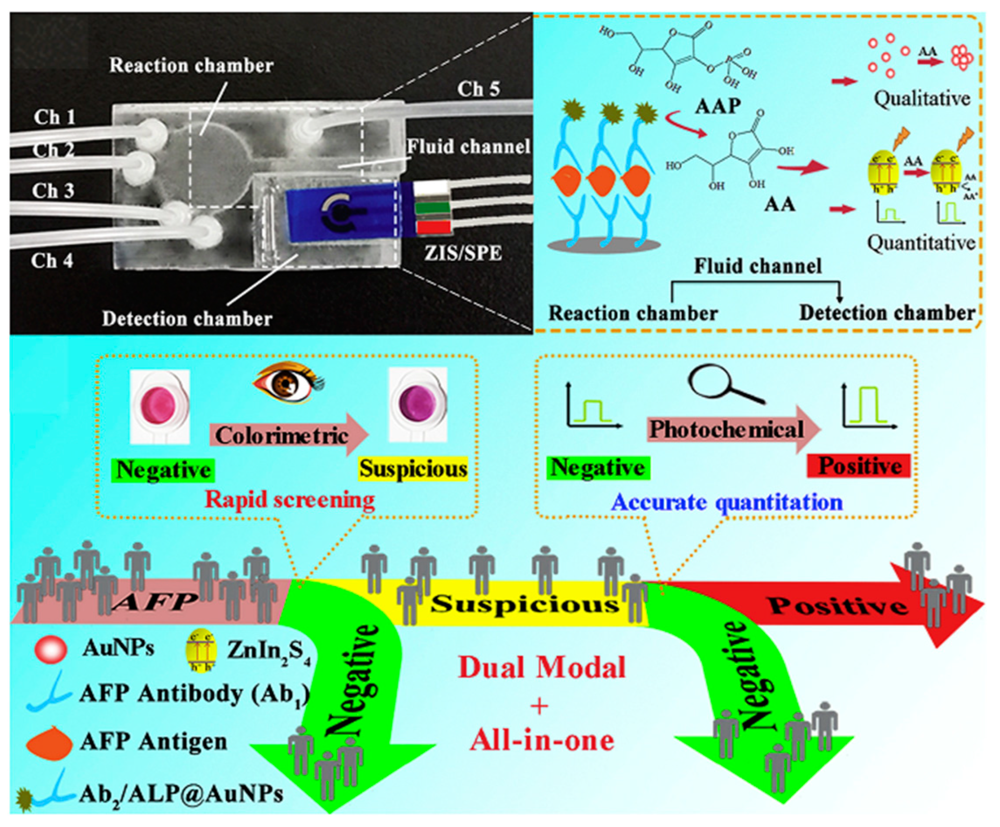 Molecules 29 04551 g021