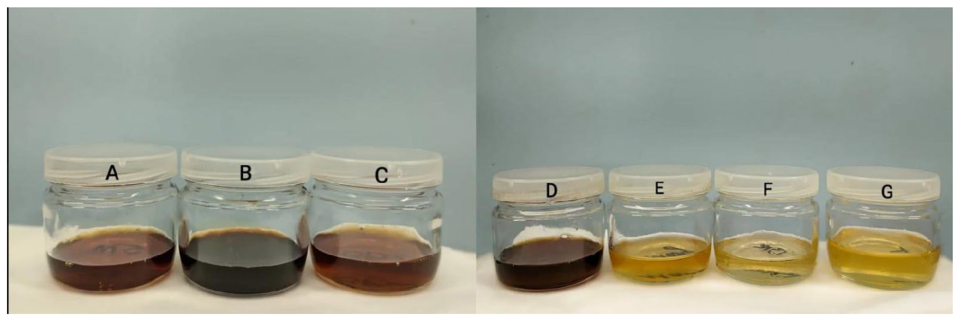 Molecules 29 04567 g001 Molecules 29 04567 g001