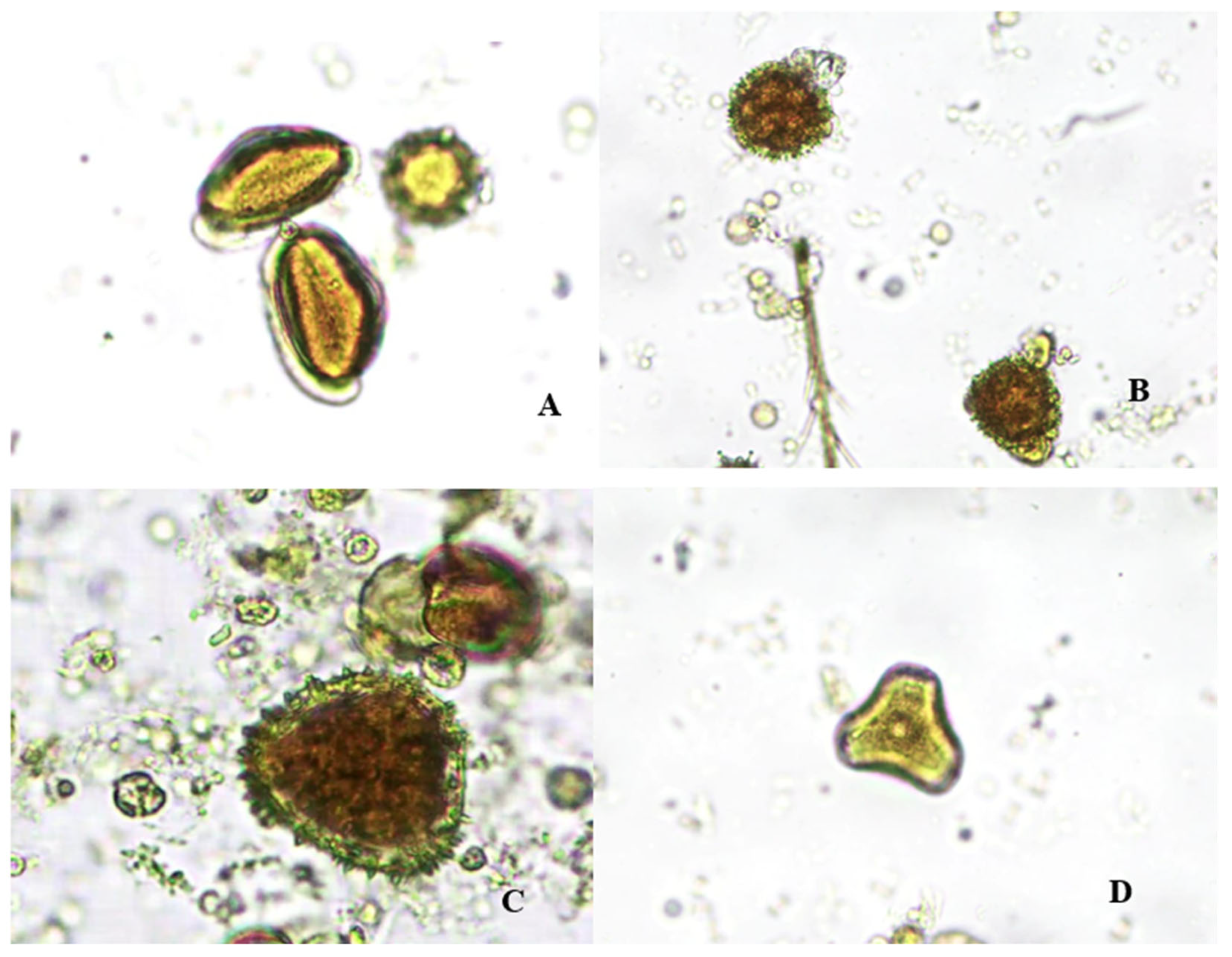 Molecules 29 04567 g002 Molecules 29 04567 g002