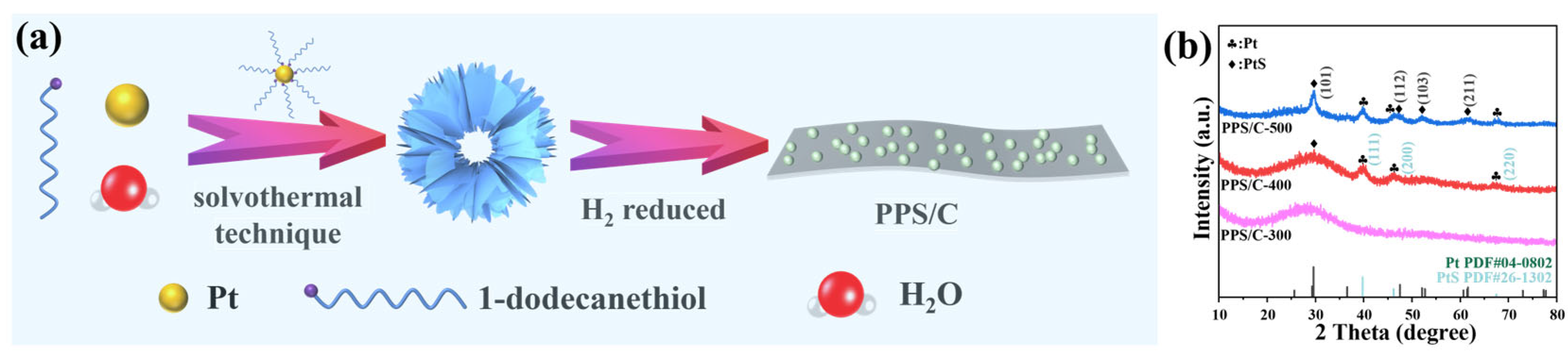 Molecules 29 04570 g001