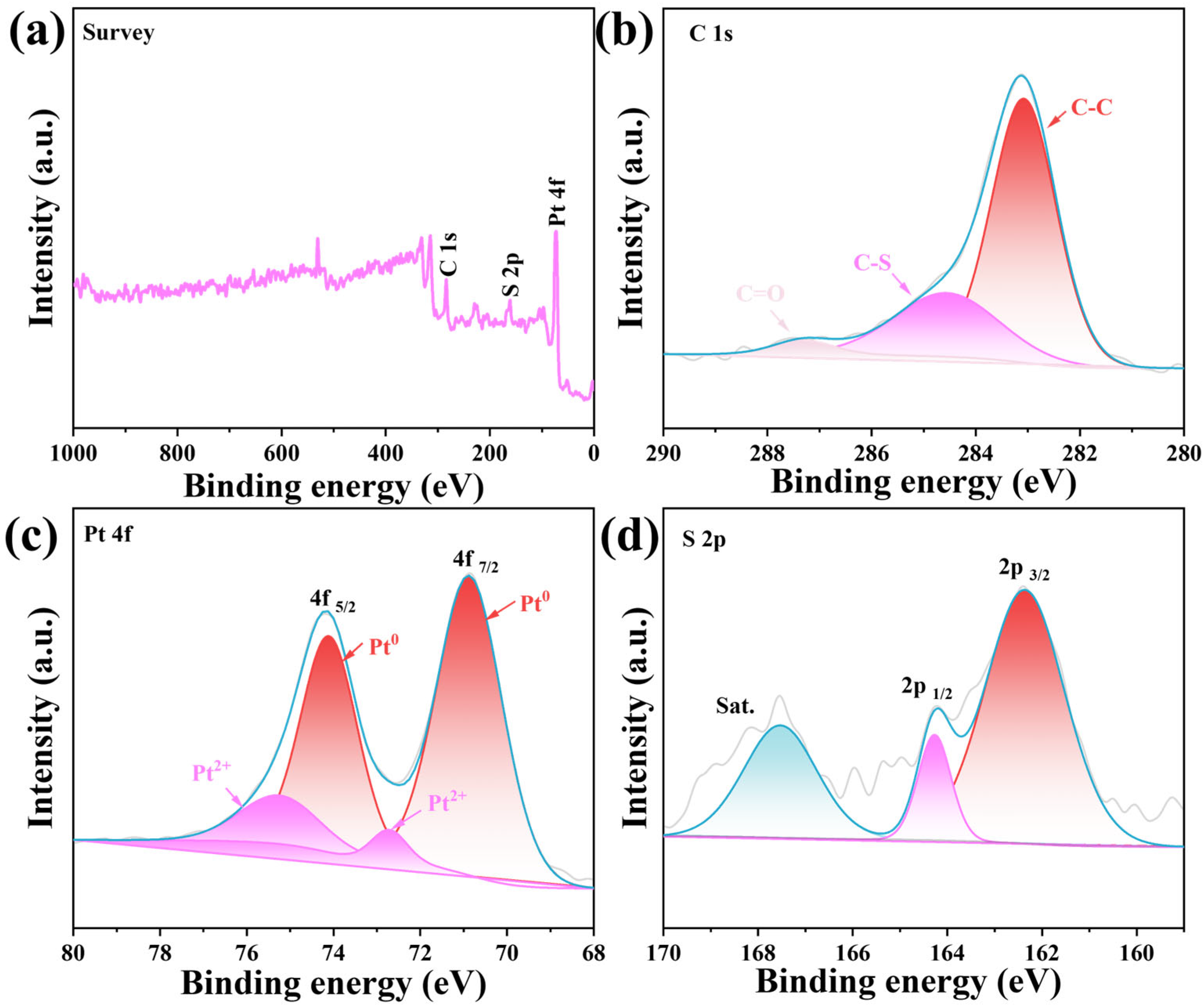 Molecules 29 04570 g003