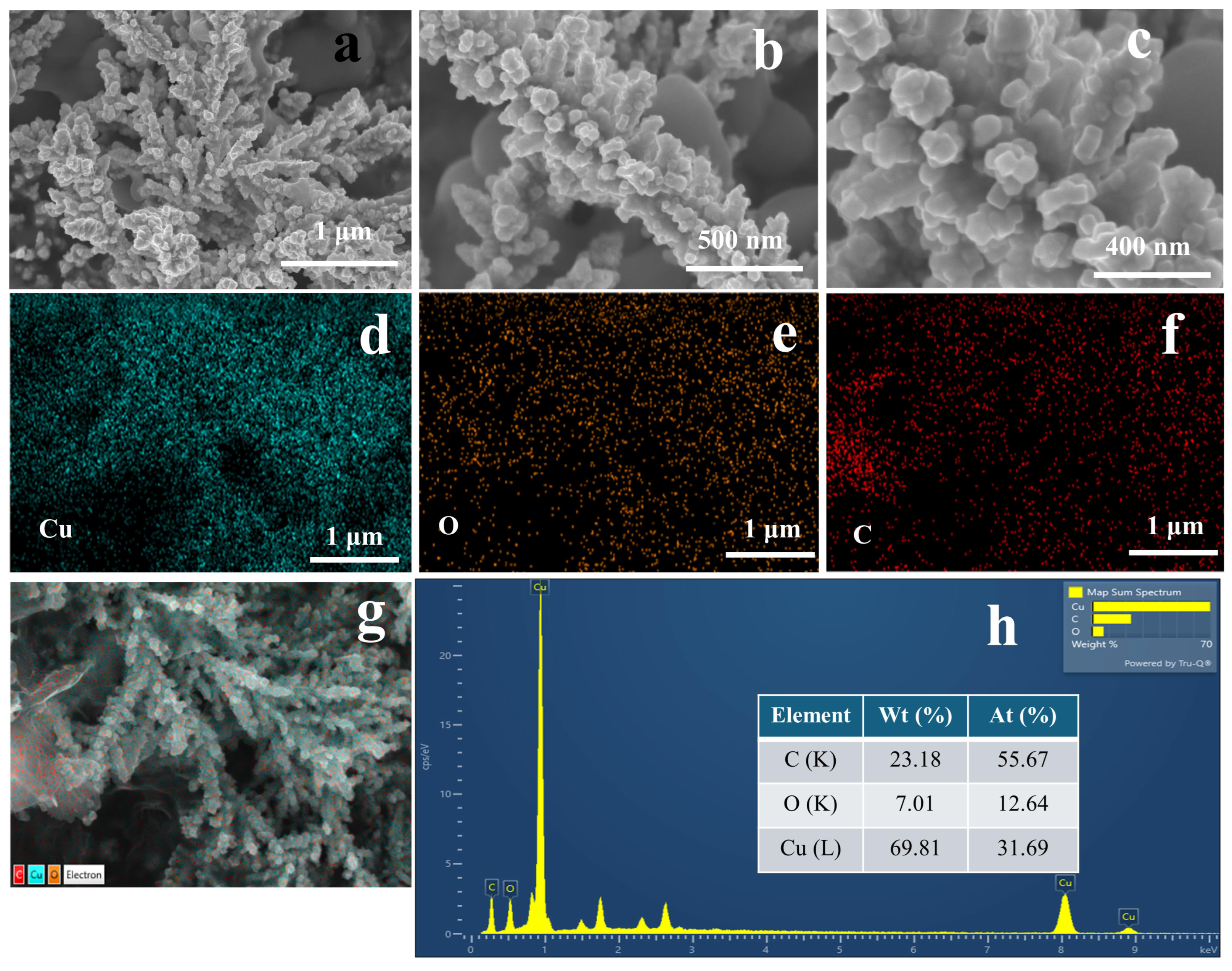 Molecules 29 04571 g003