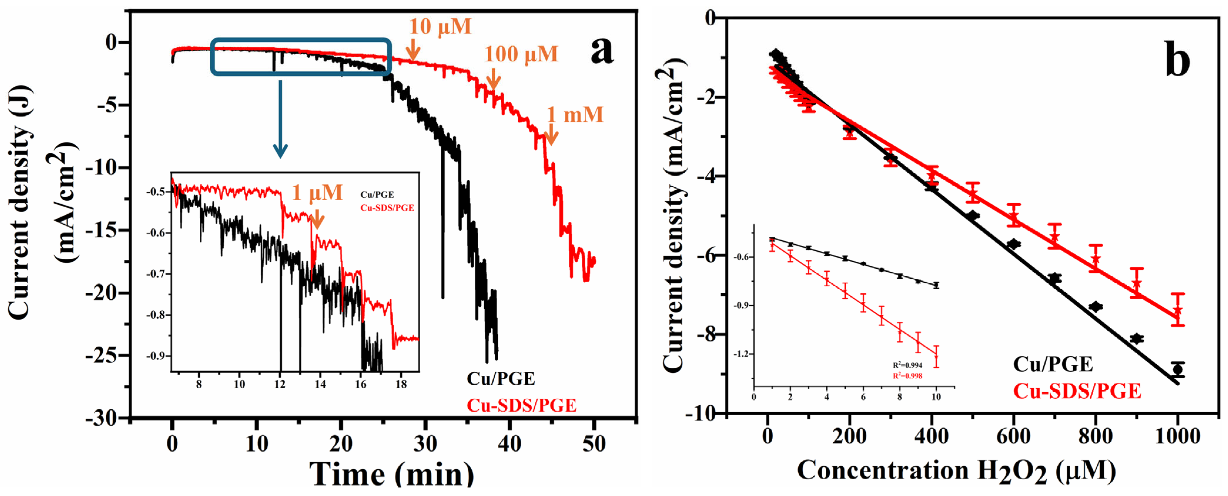Molecules 29 04571 g006