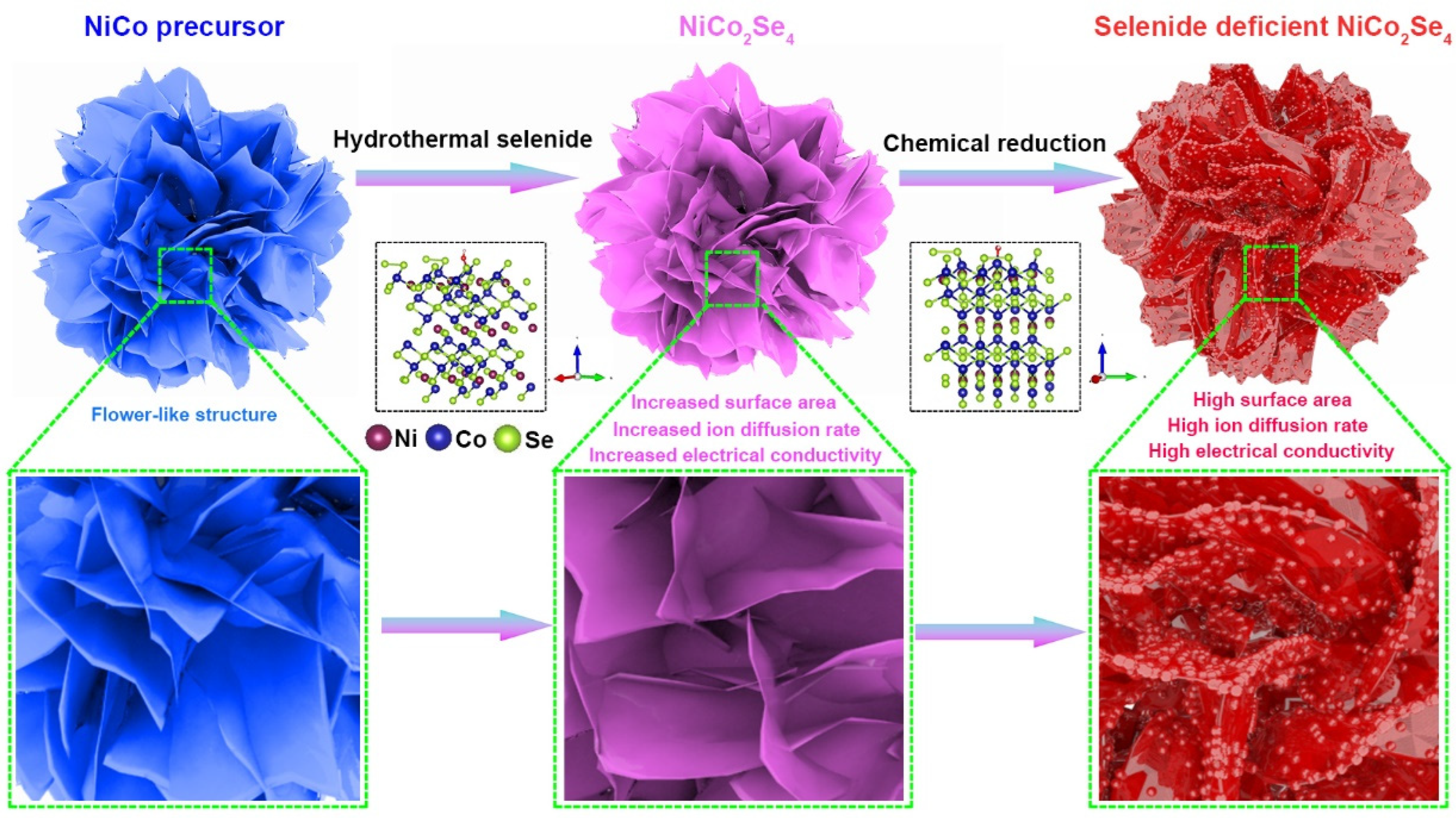 Molecules 29 04580 g001