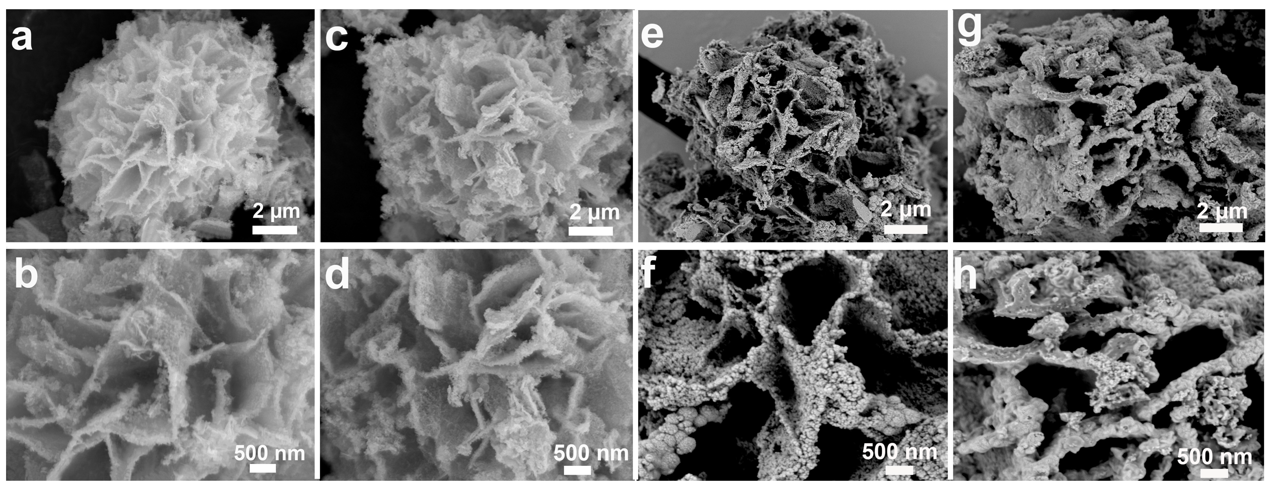Molecules 29 04580 g002