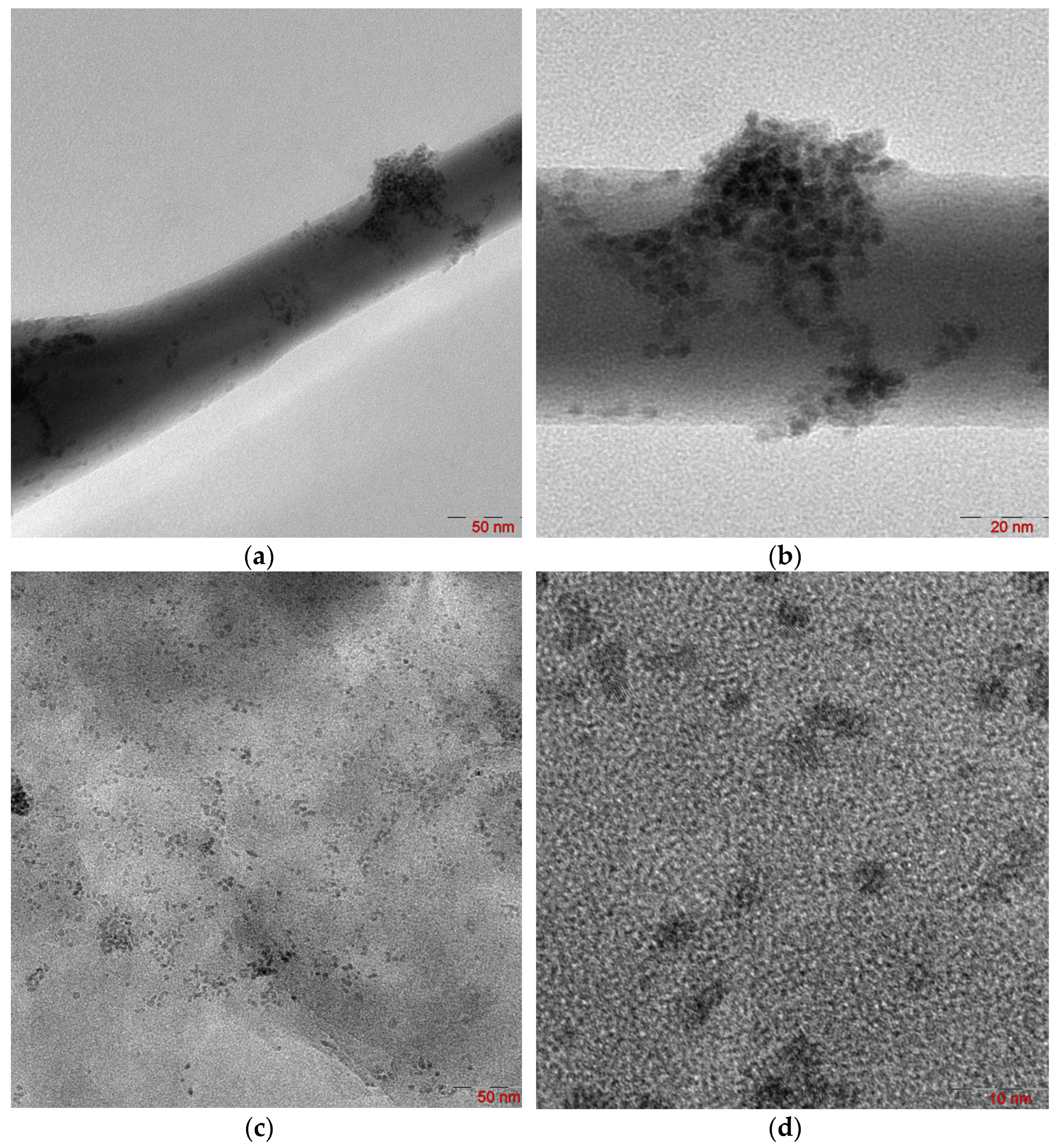 Molecules 29 04584 g008