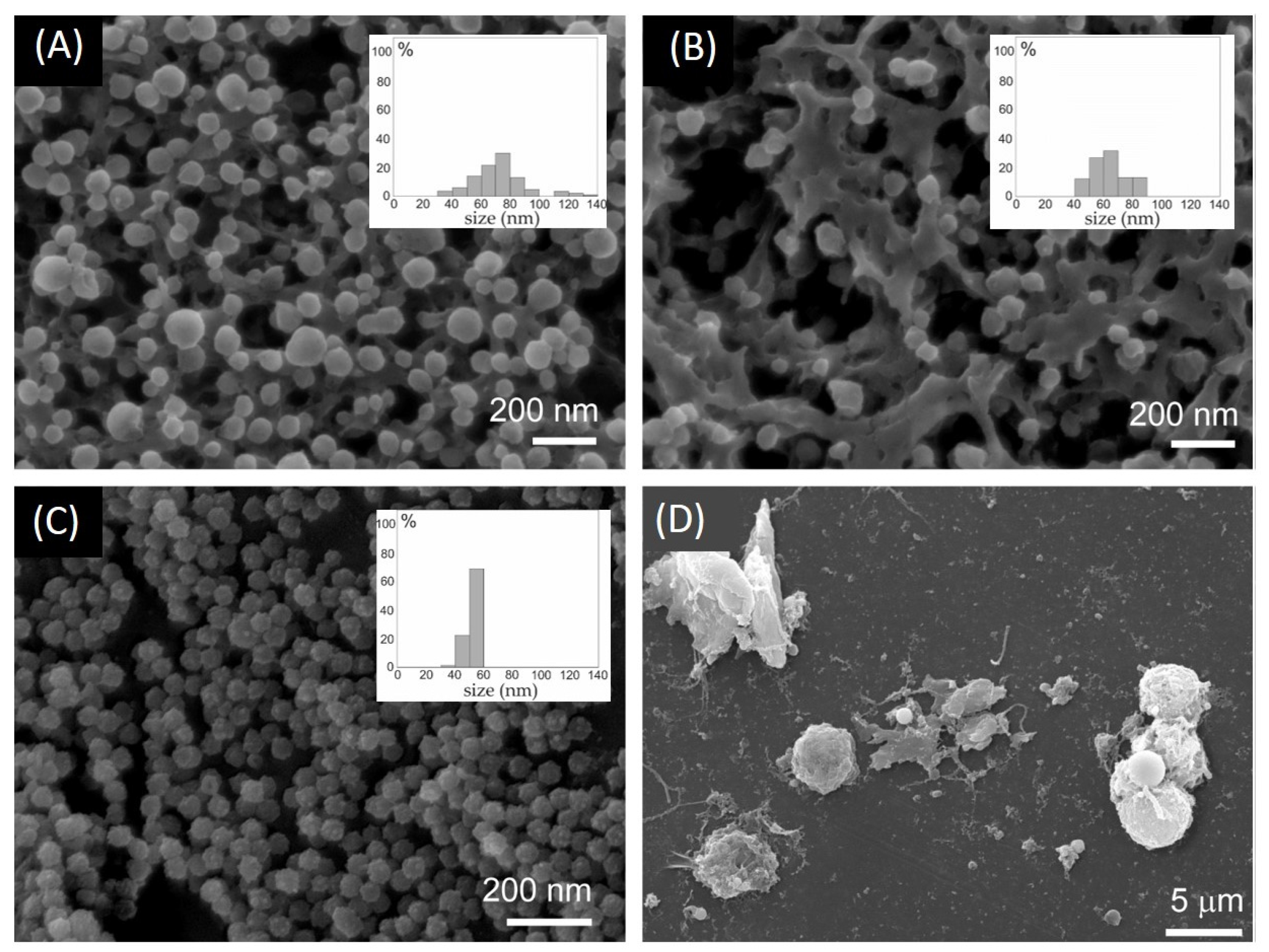 Molecules 29 04590 g005