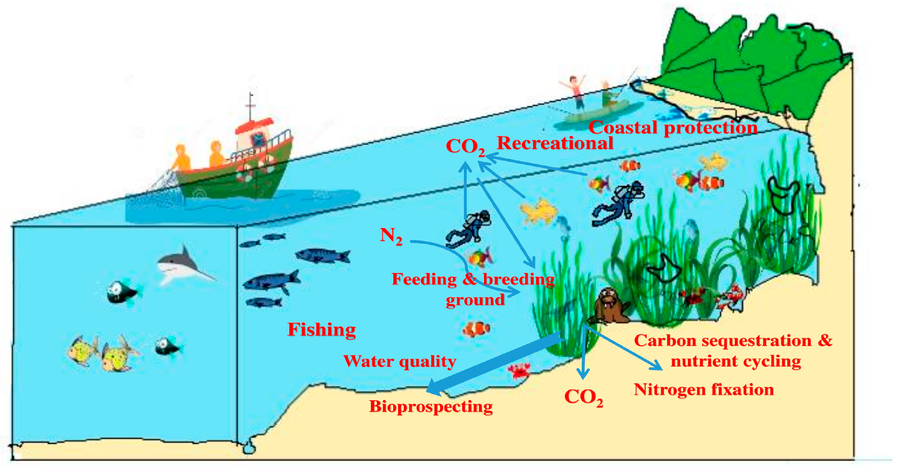 Molecules 29 04596 g001