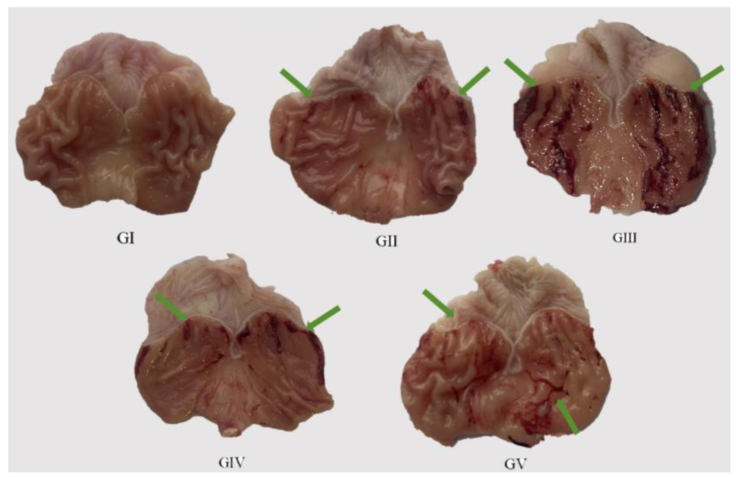 Molecules 29 04602 g008 Molecules 29 04602 g008