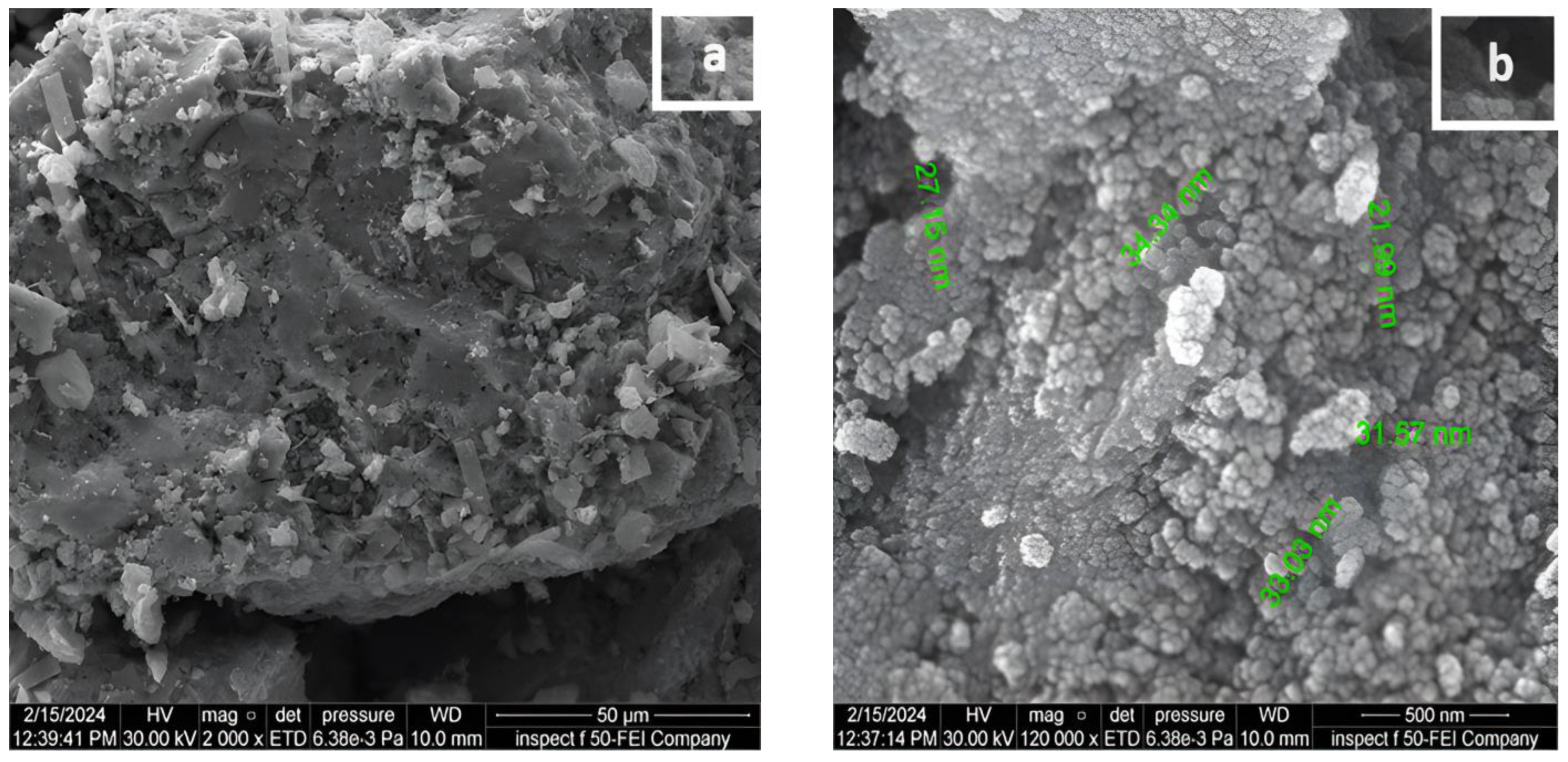 Molecules 29 04603 g001