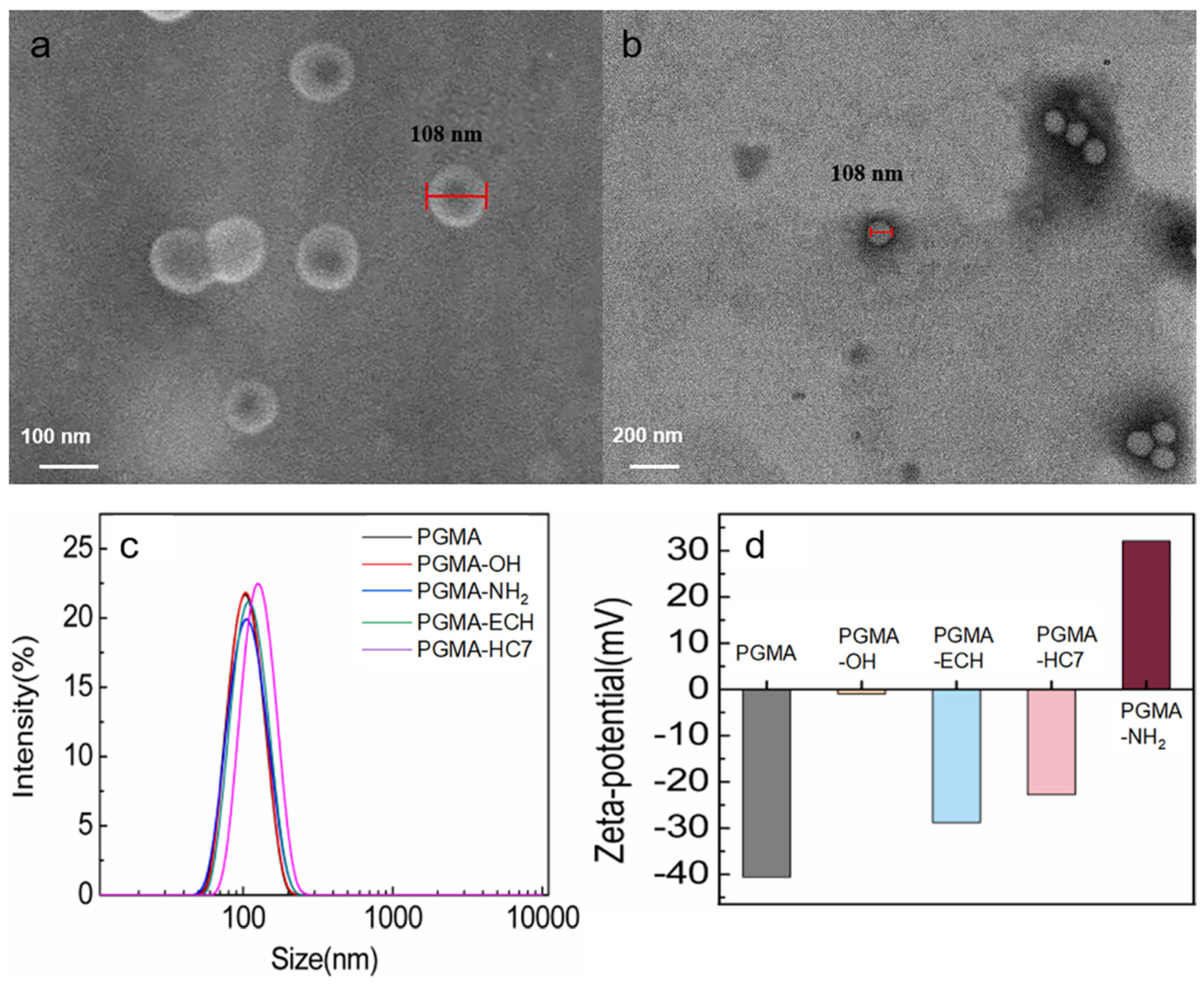 Molecules 29 04635 g002