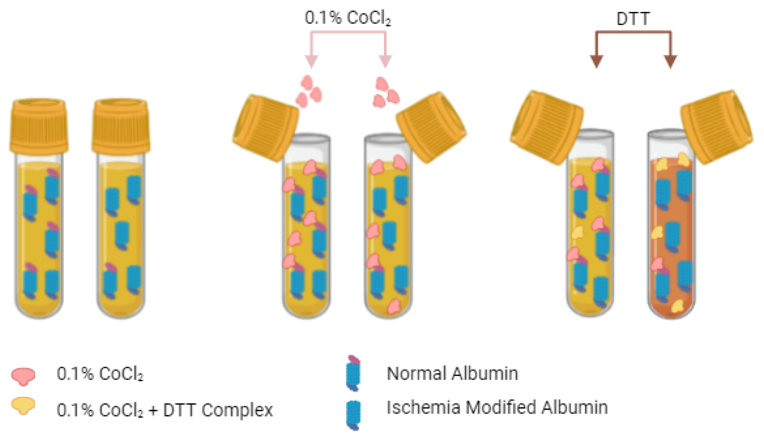 Molecules 29 04636 g002 Molecules 29 04636 g002