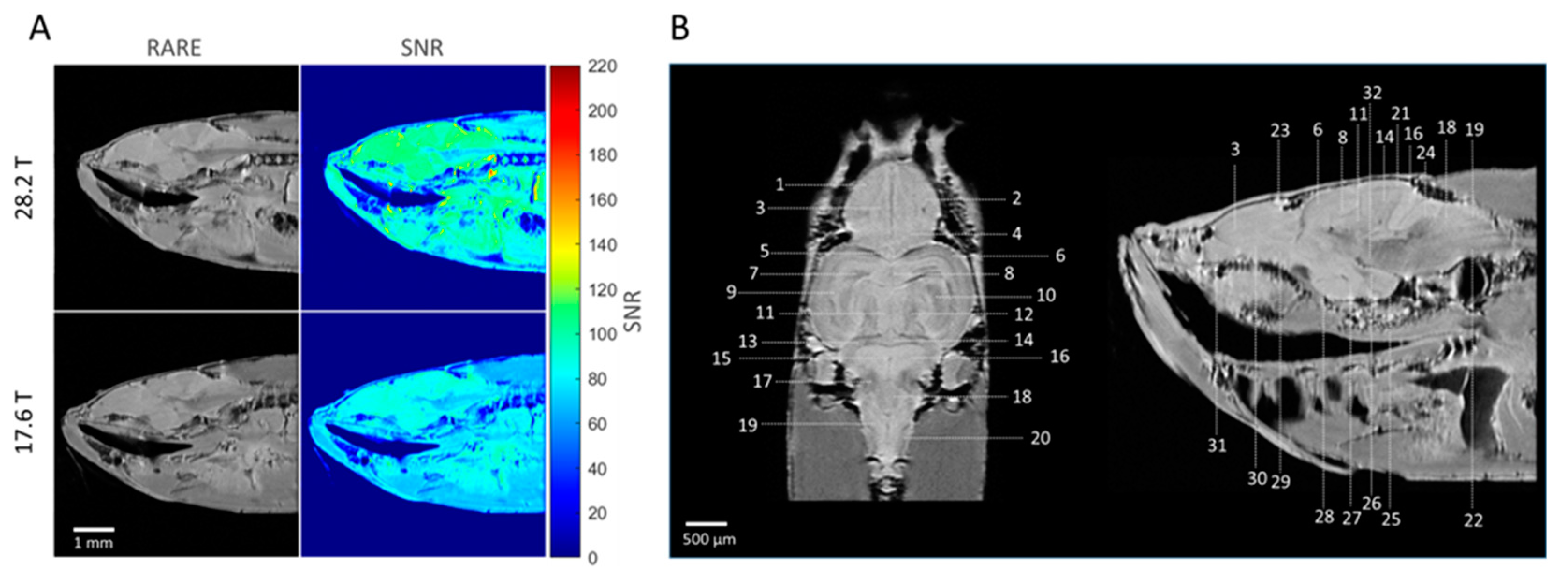 Molecules 29 04637 g002