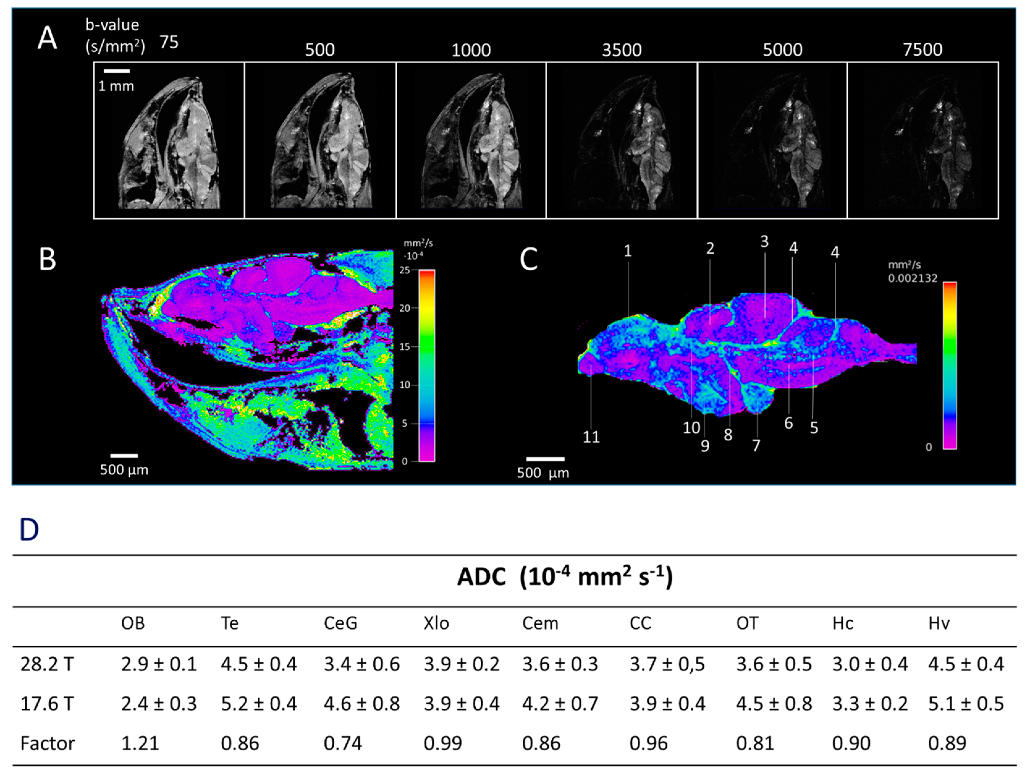 Molecules 29 04637 g003