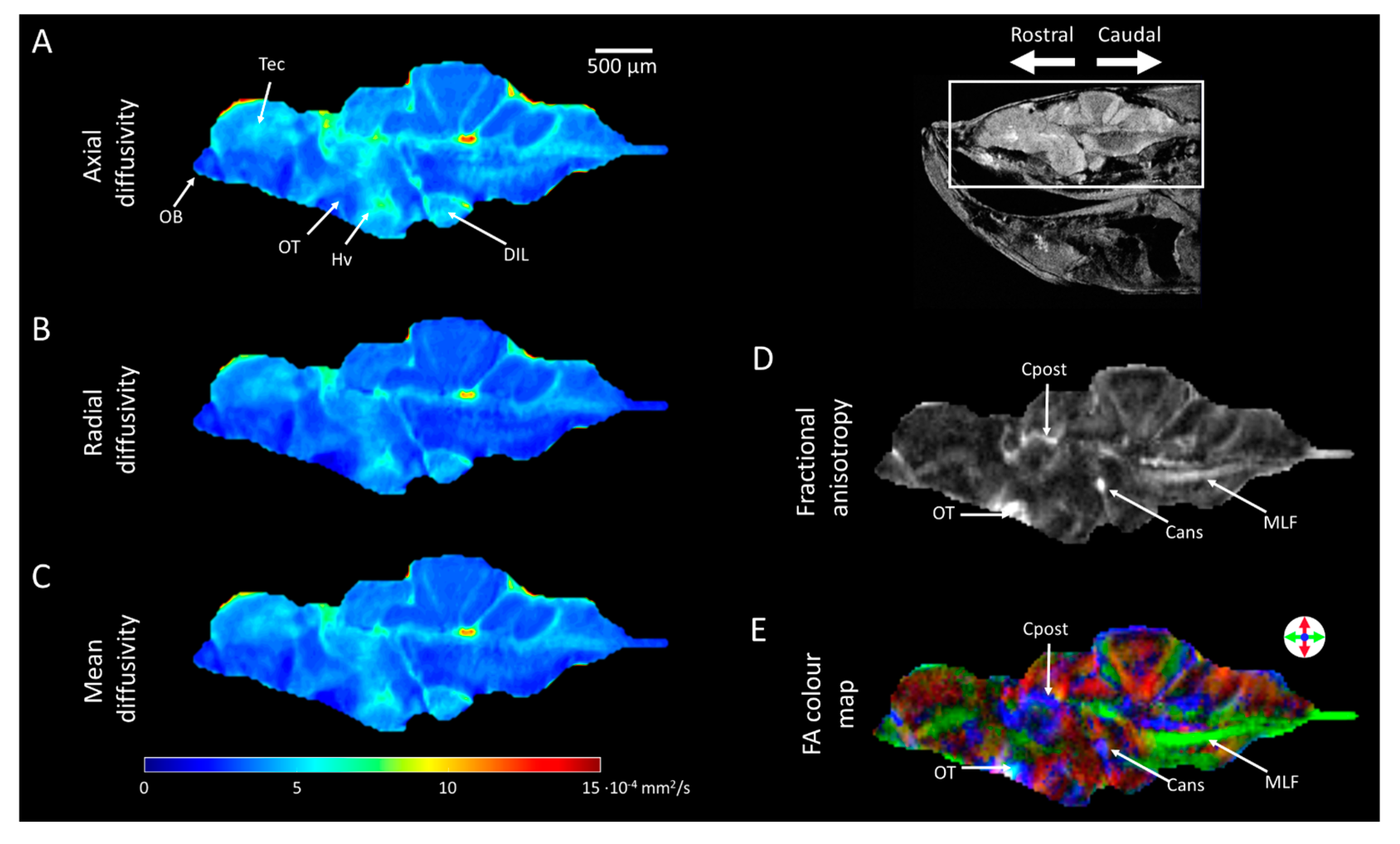 Molecules 29 04637 g004
