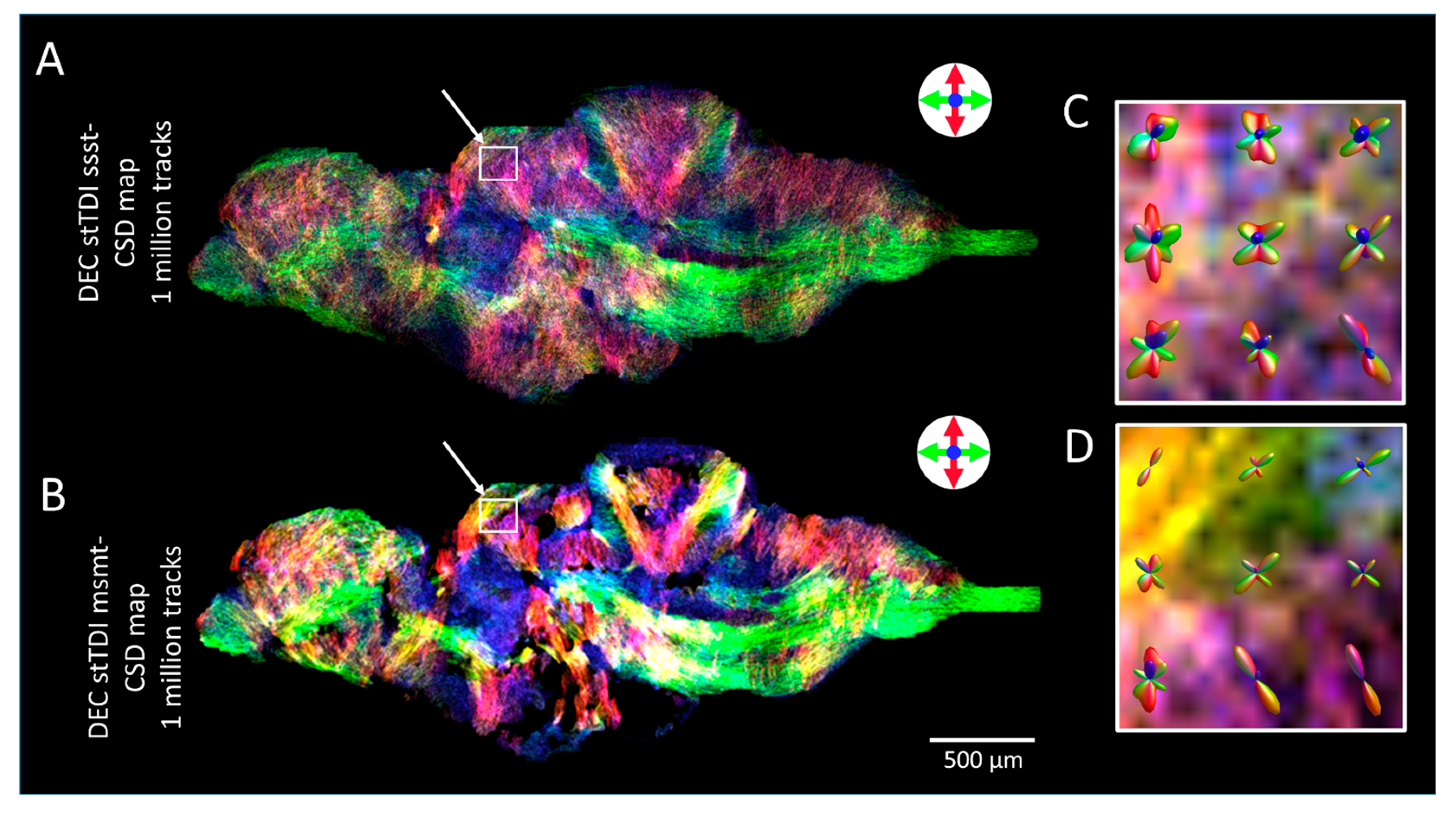 Molecules 29 04637 g005