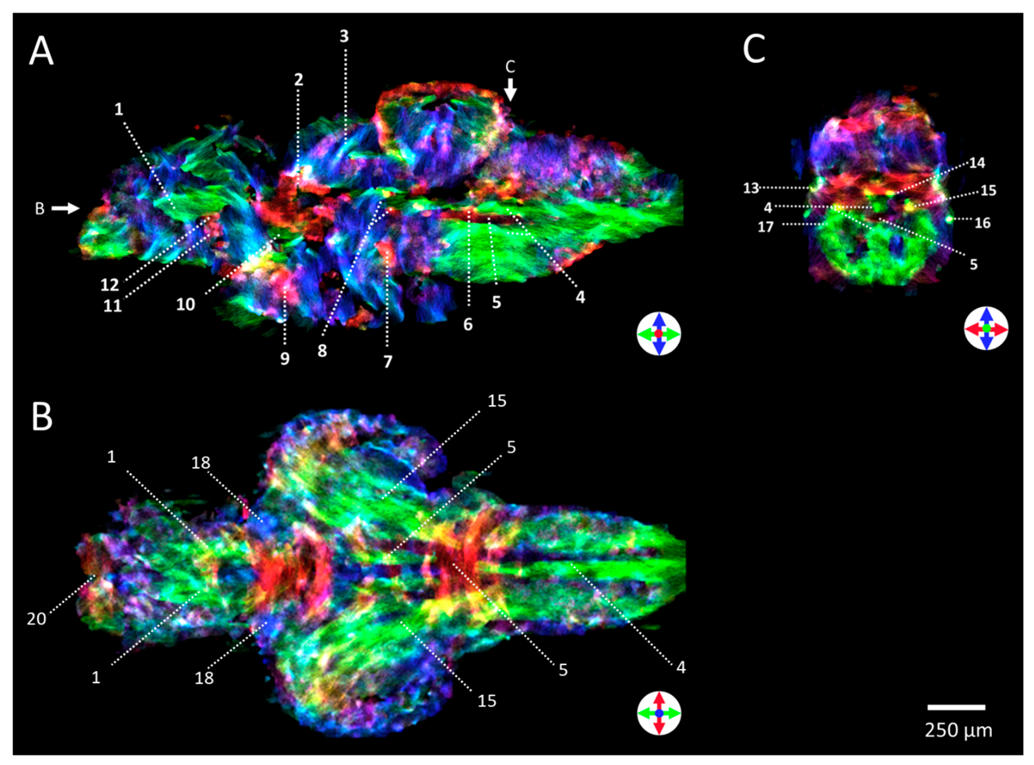 Molecules 29 04637 g006