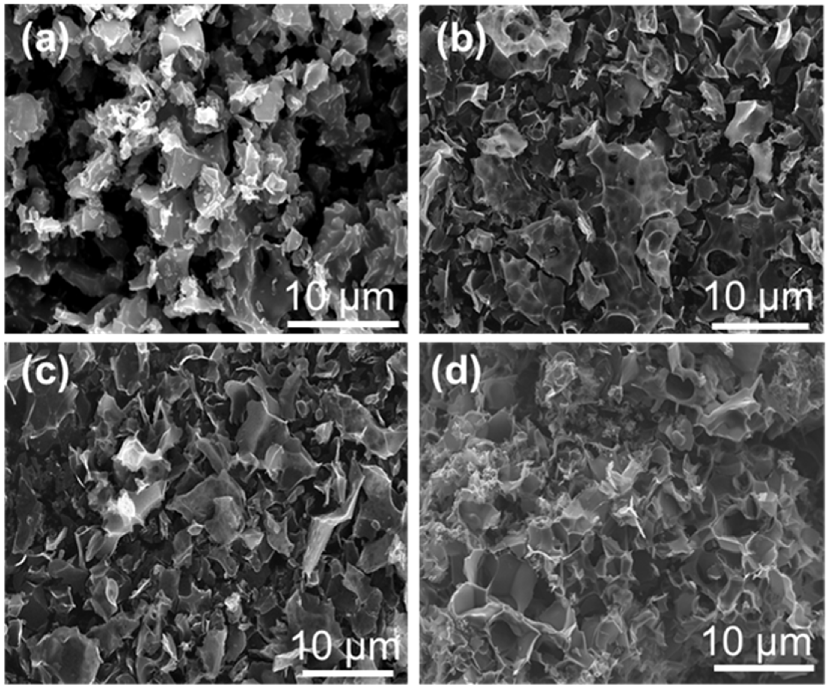 Molecules 29 04642 g003