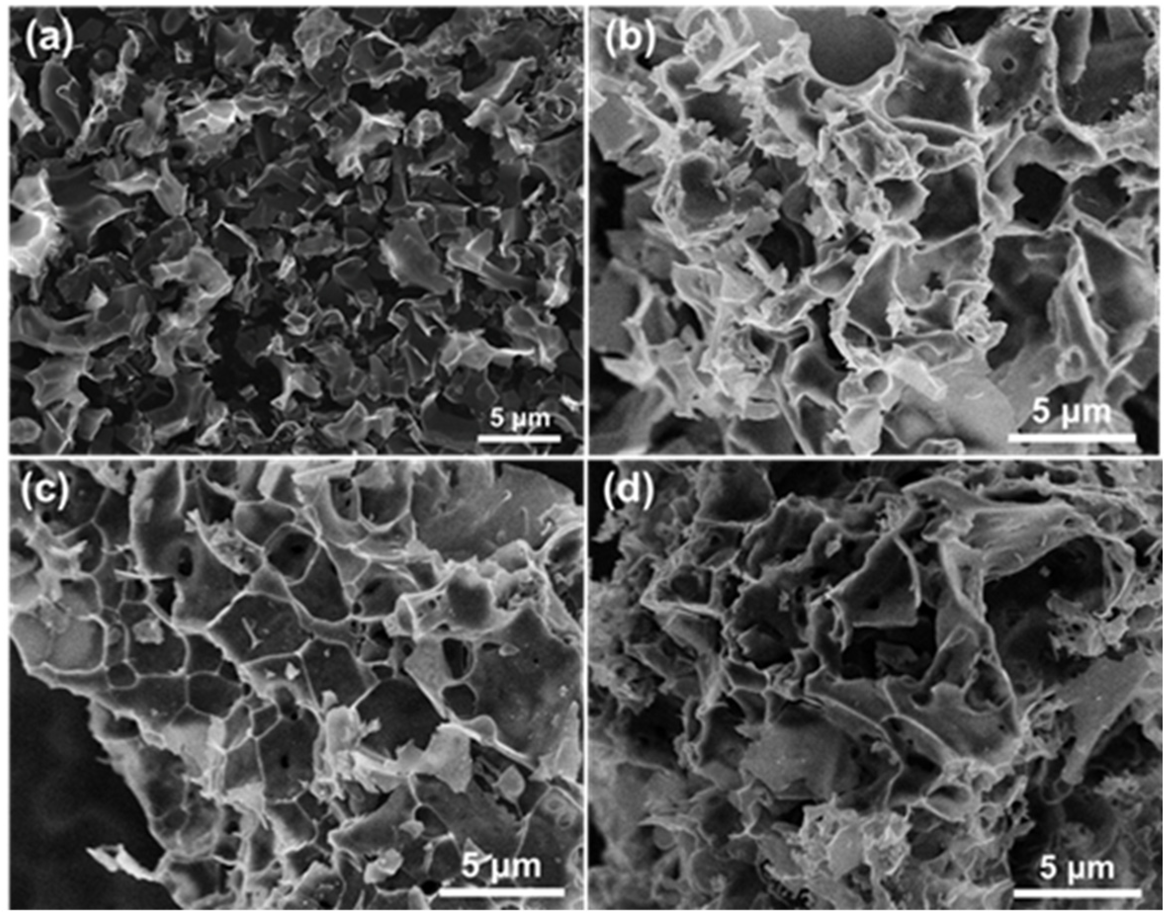 Molecules 29 04642 g010