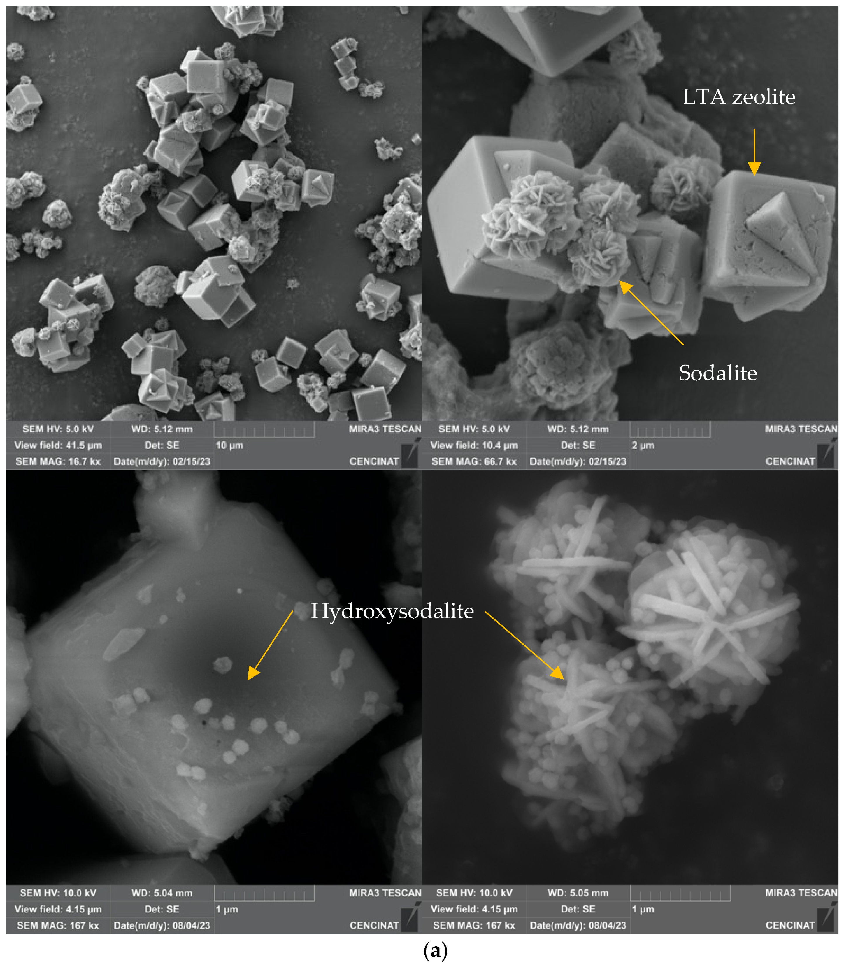Molecules 29 04643 g002a