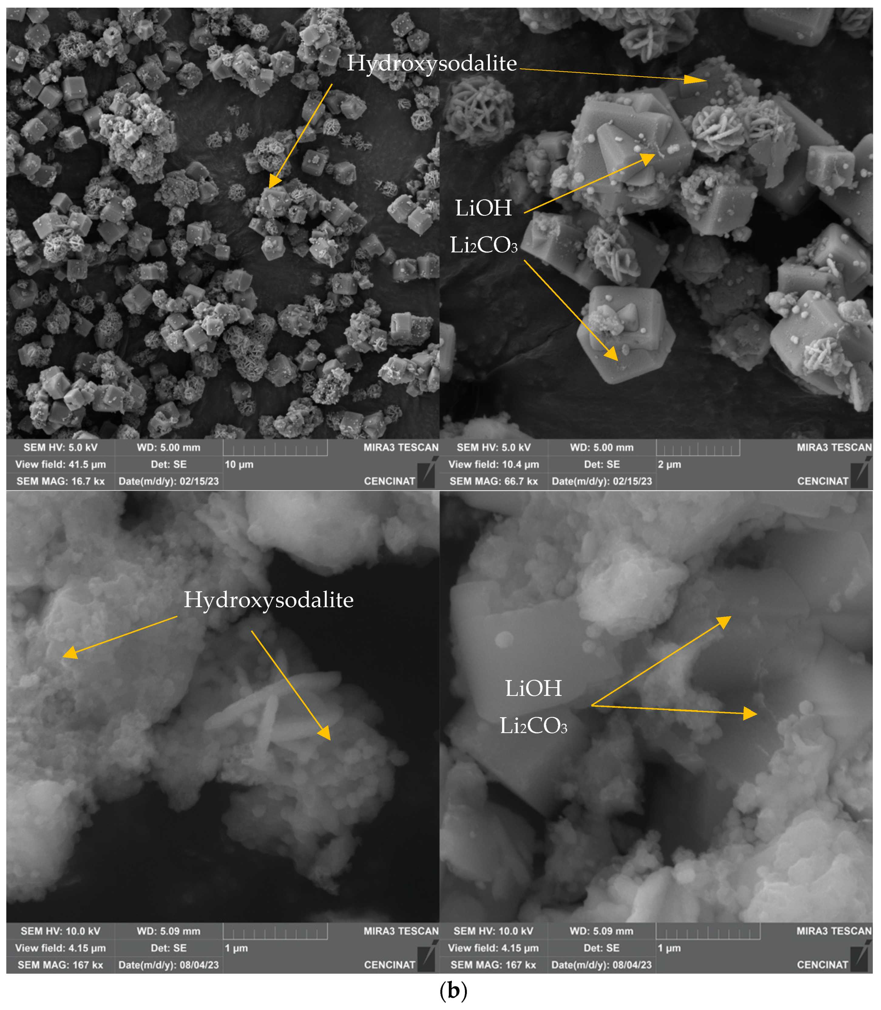 Molecules 29 04643 g002b