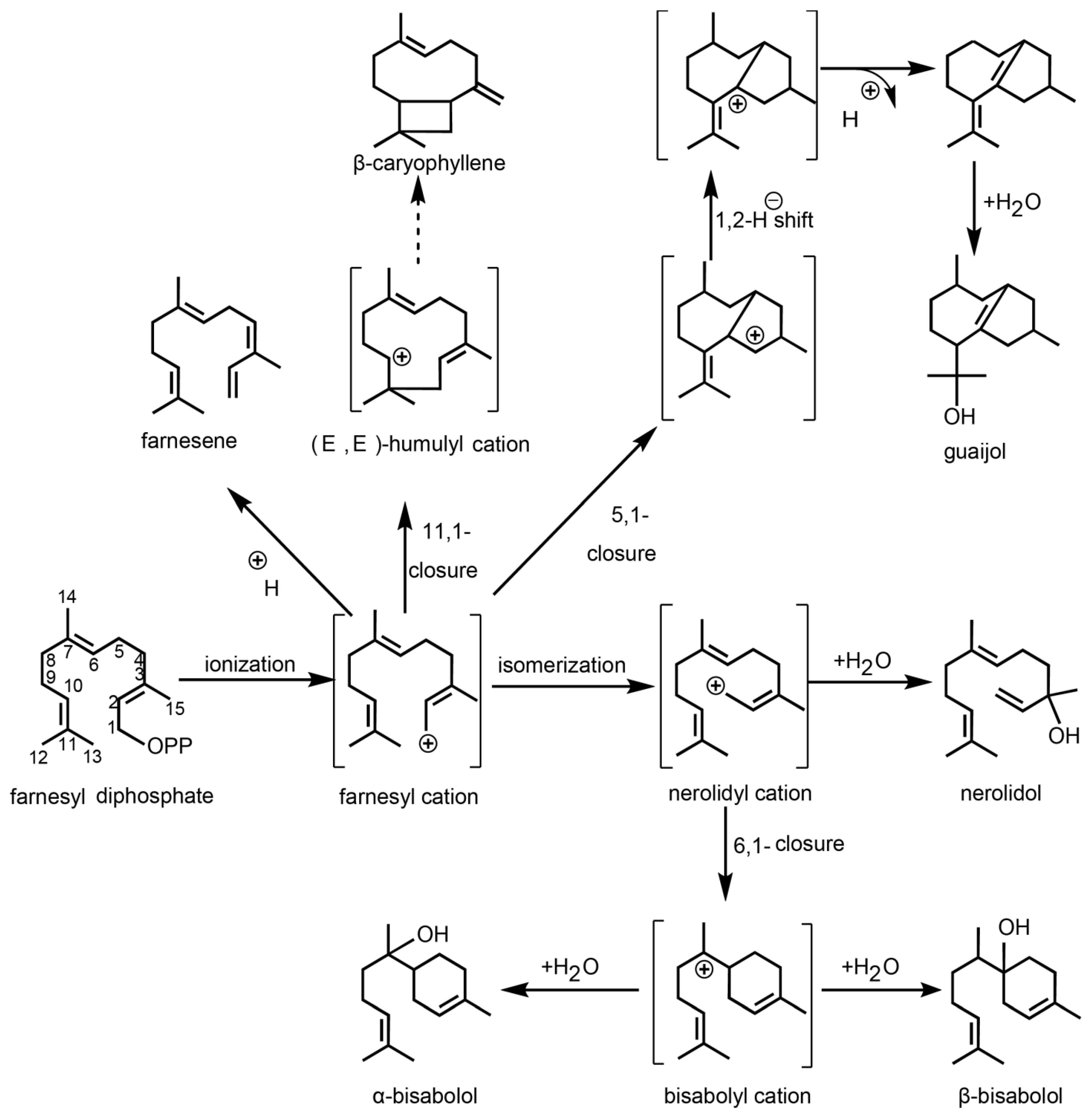 Molecules 29 04662 g003