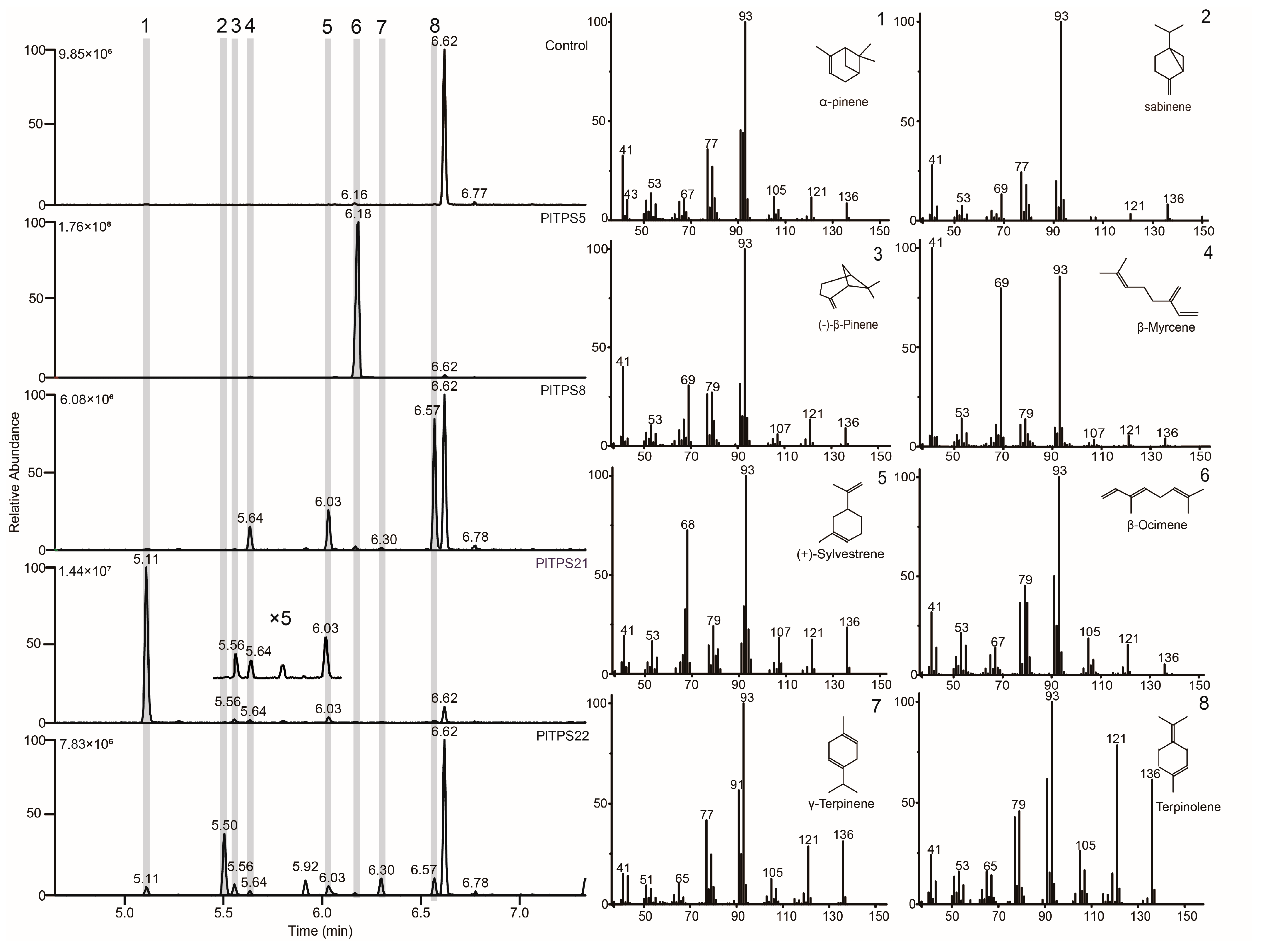 Molecules 29 04662 g005