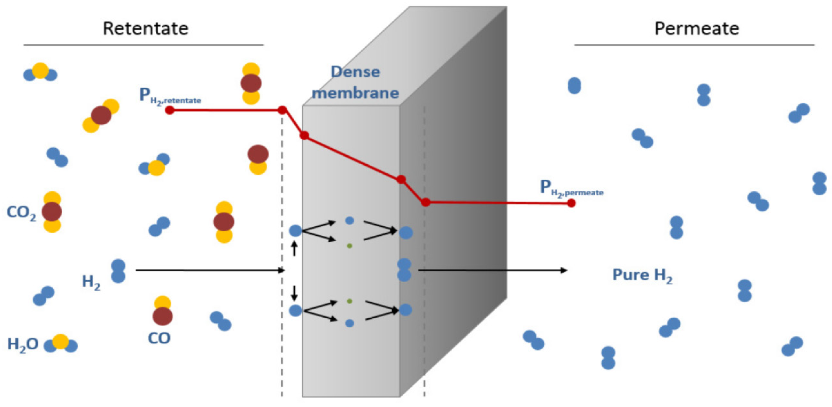 Molecules 29 04676 g002