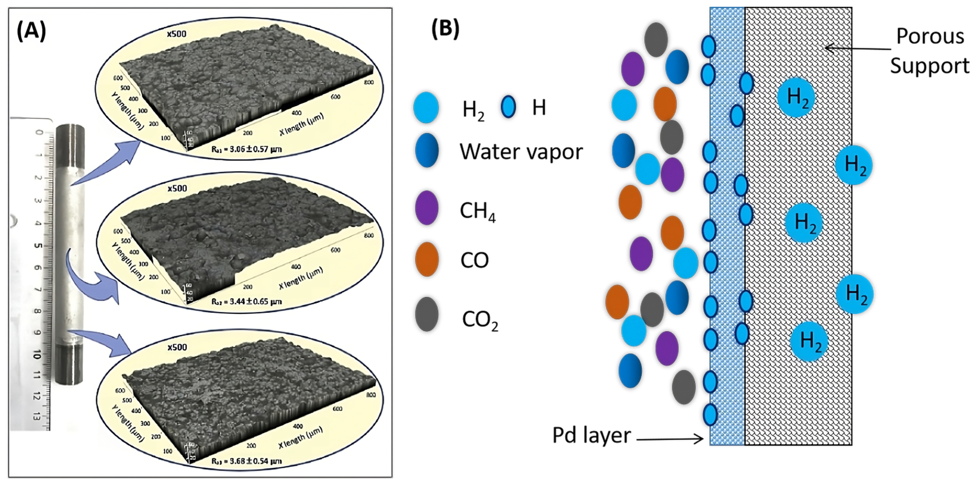 Molecules 29 04676 g003