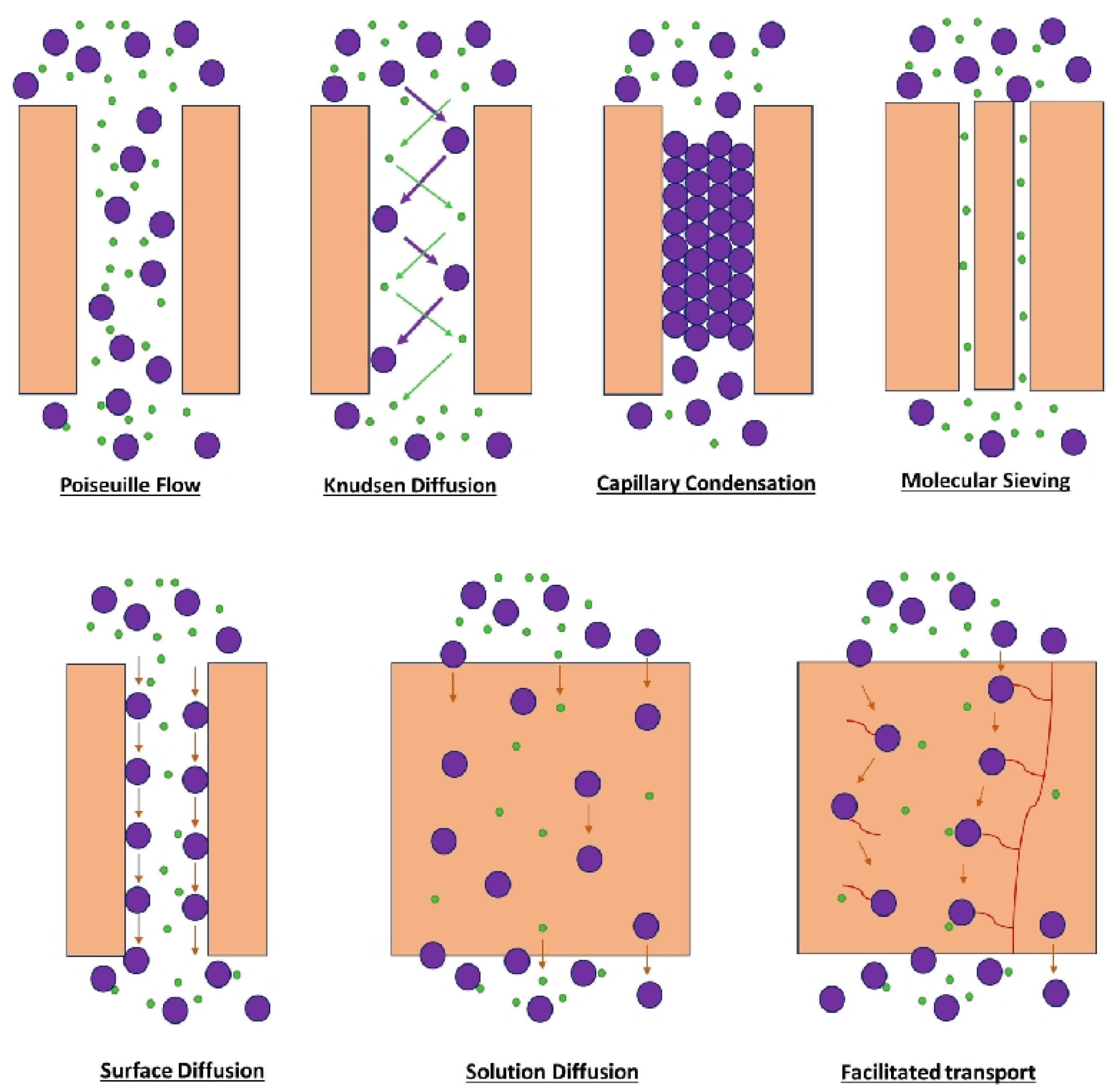 Molecules 29 04676 g009