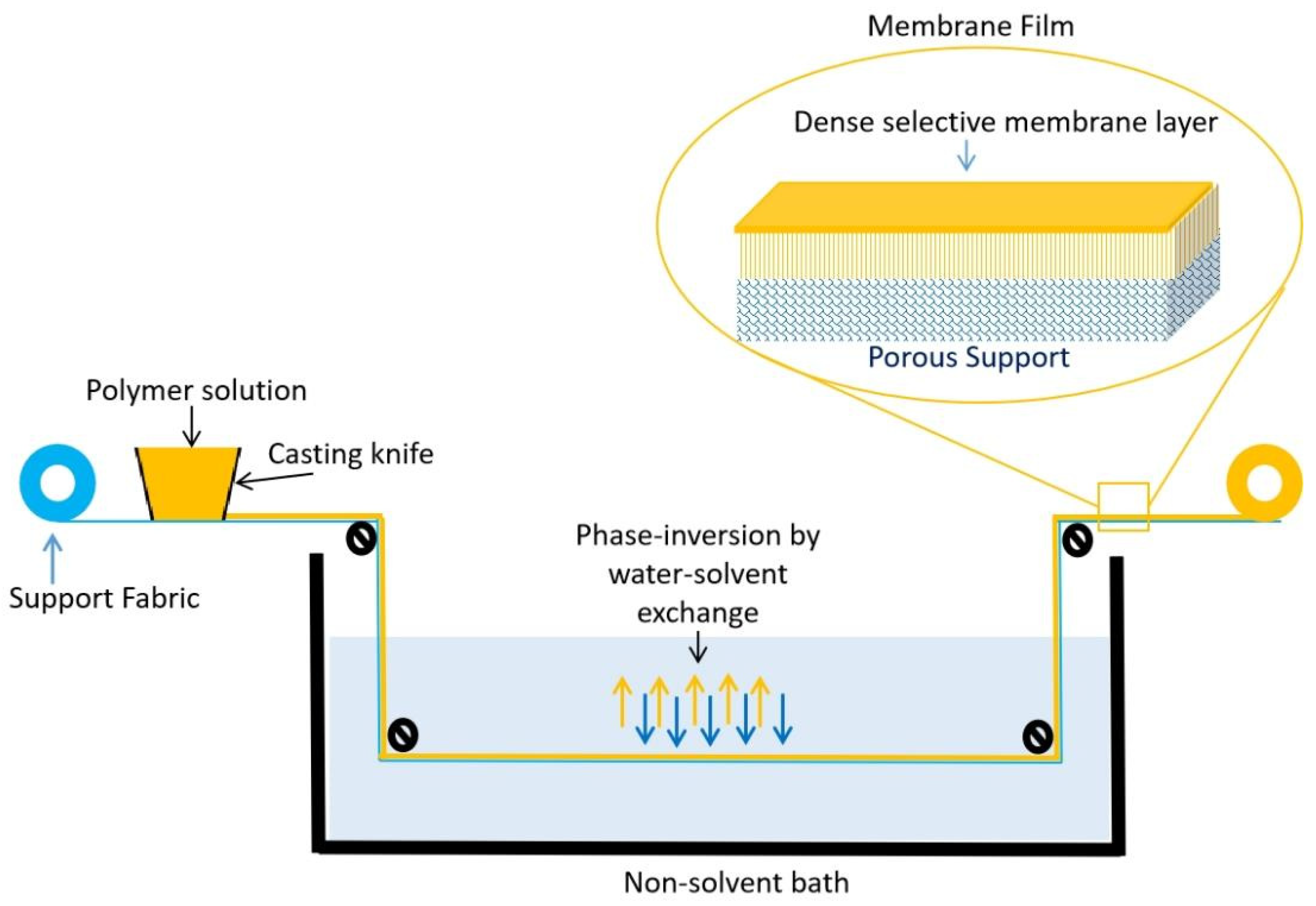 Molecules 29 04676 g010