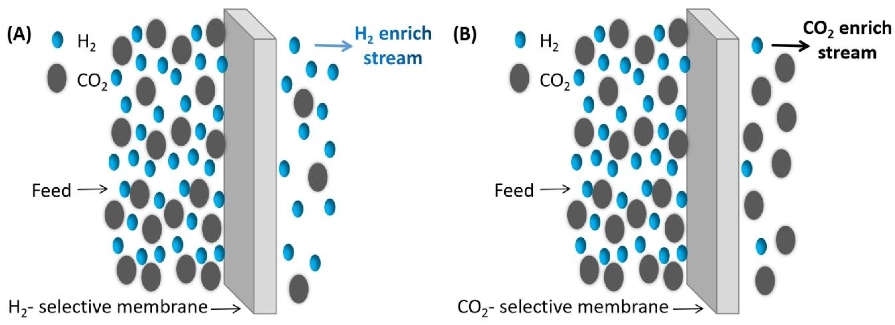Molecules 29 04676 g012