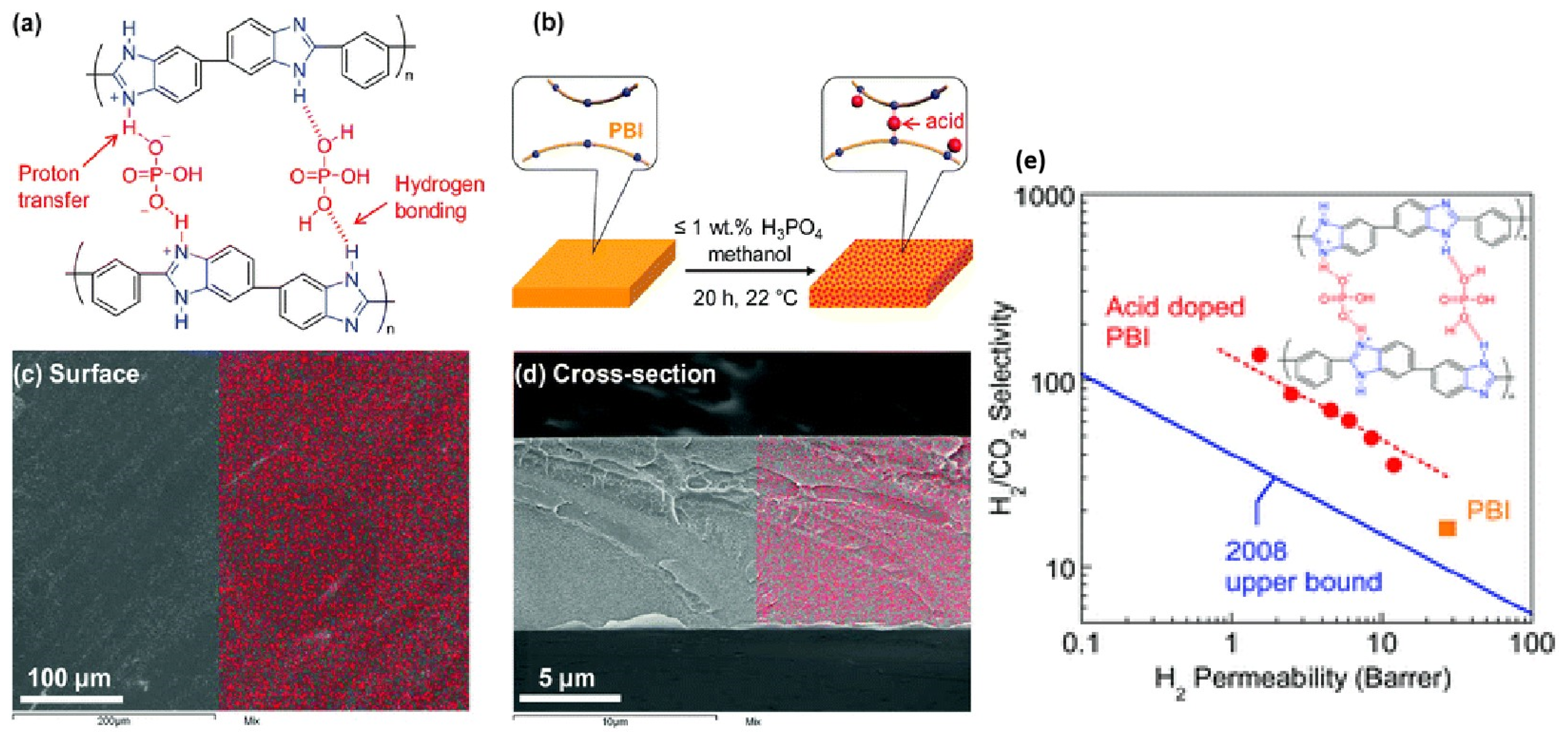 Molecules 29 04676 g015