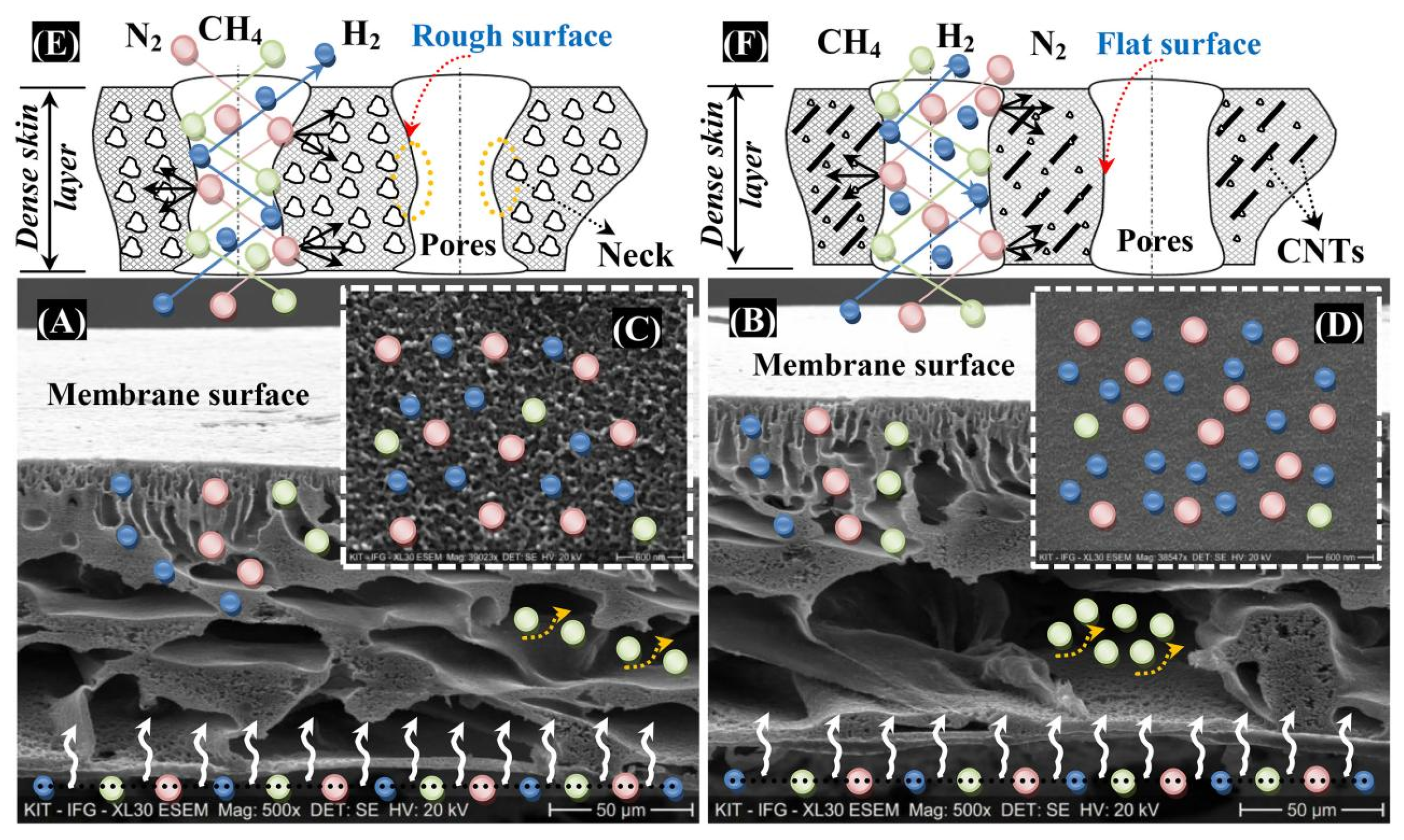 Molecules 29 04676 g019
