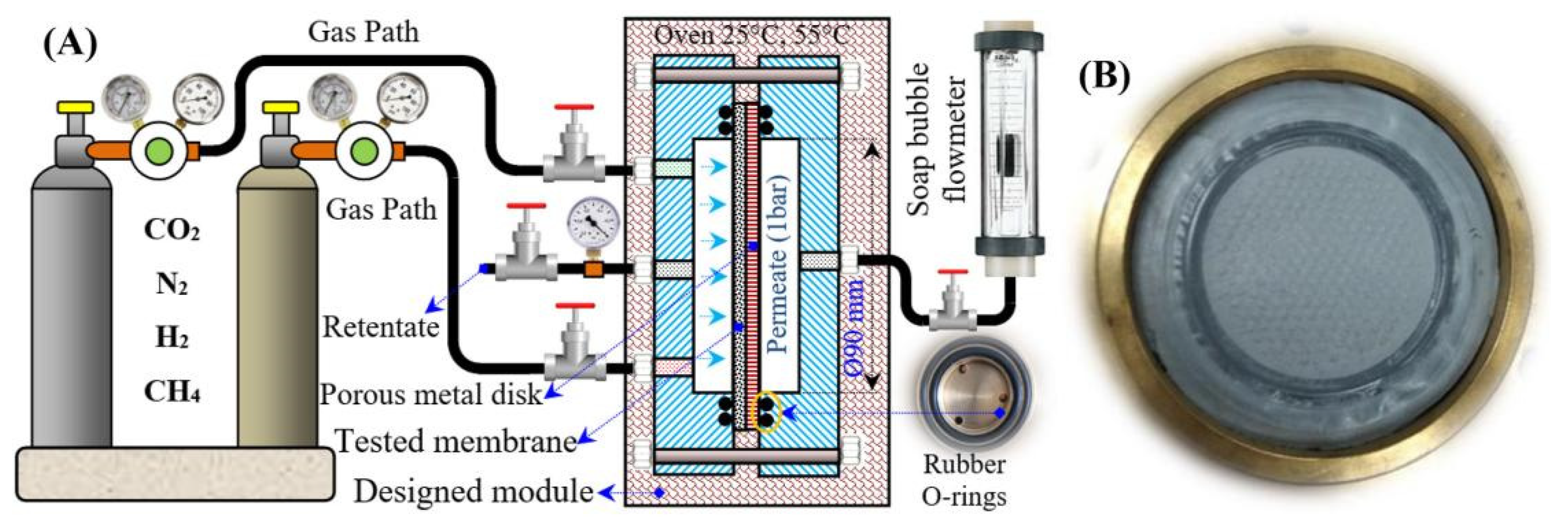Molecules 29 04676 g020