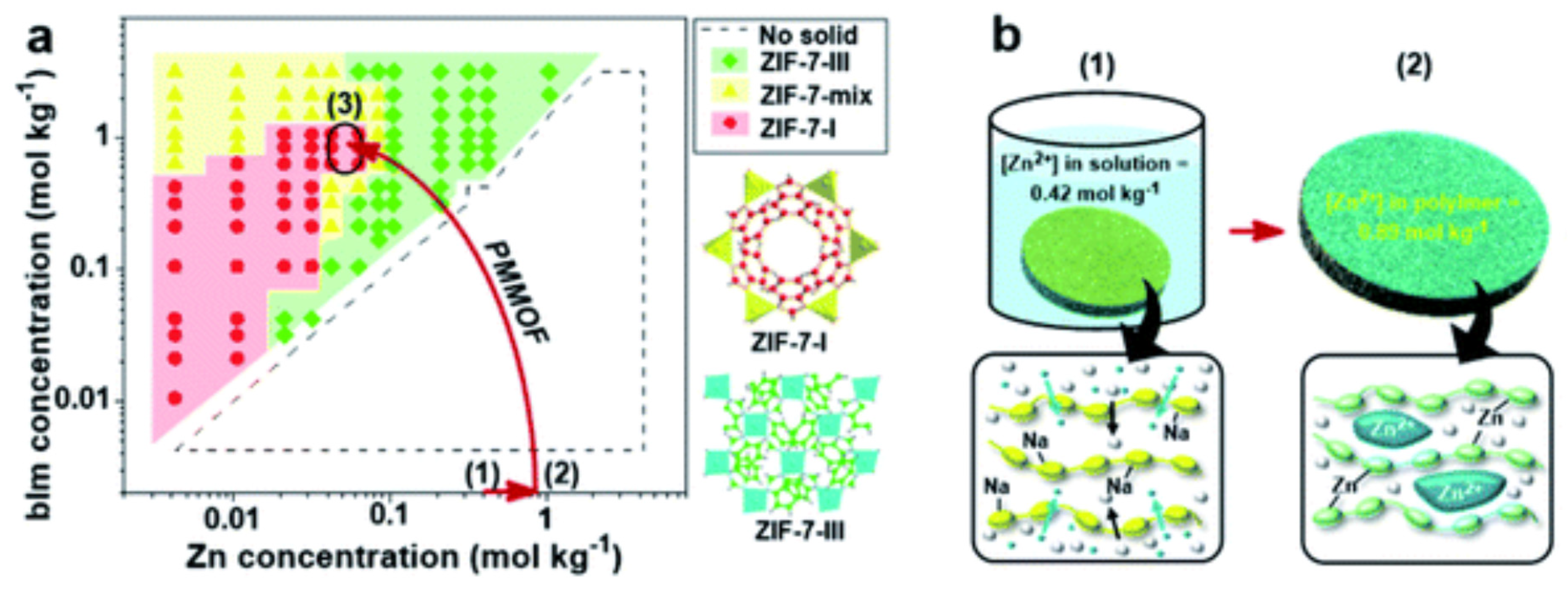 Molecules 29 04676 g023