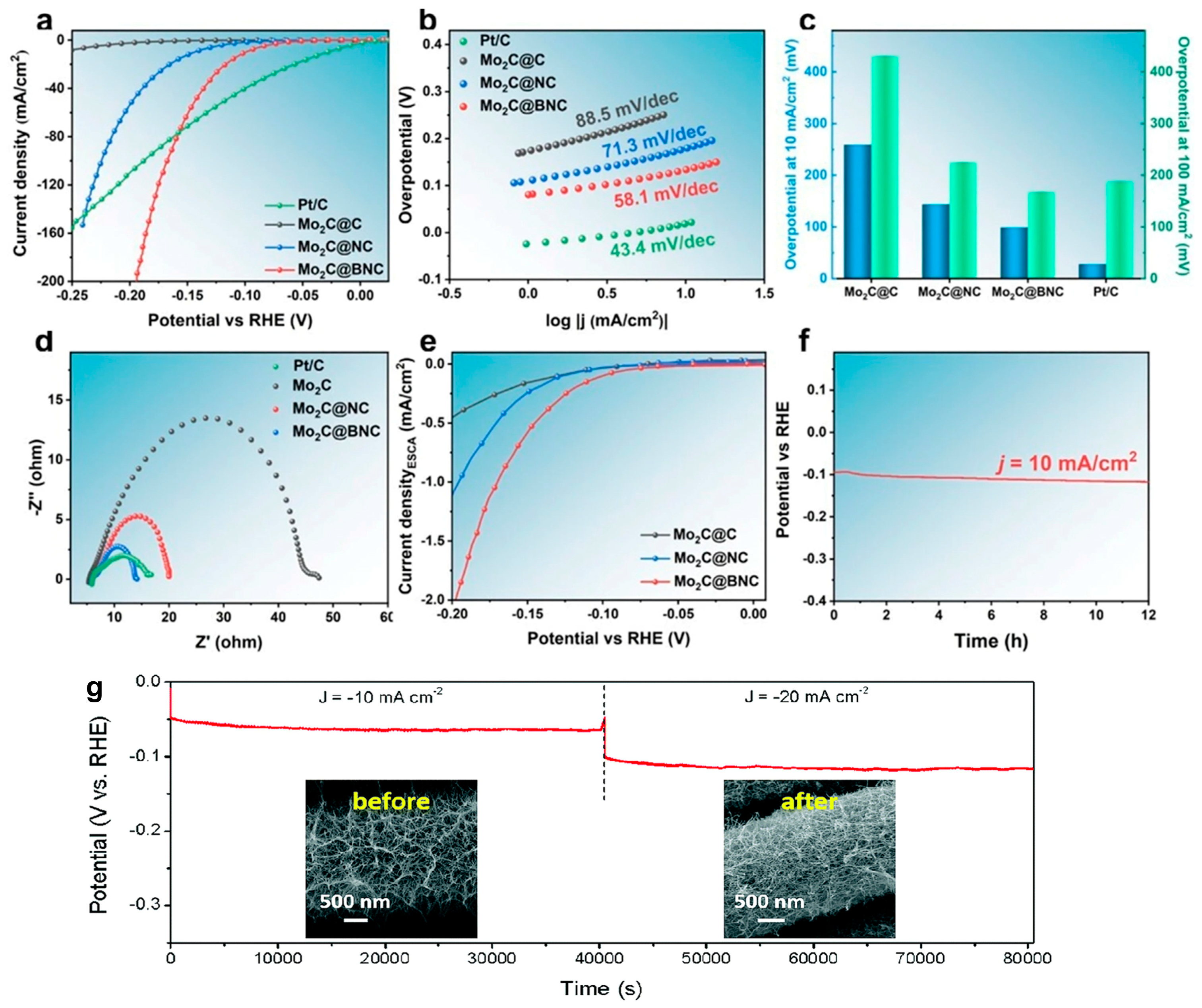 Molecules 29 04677 g007
