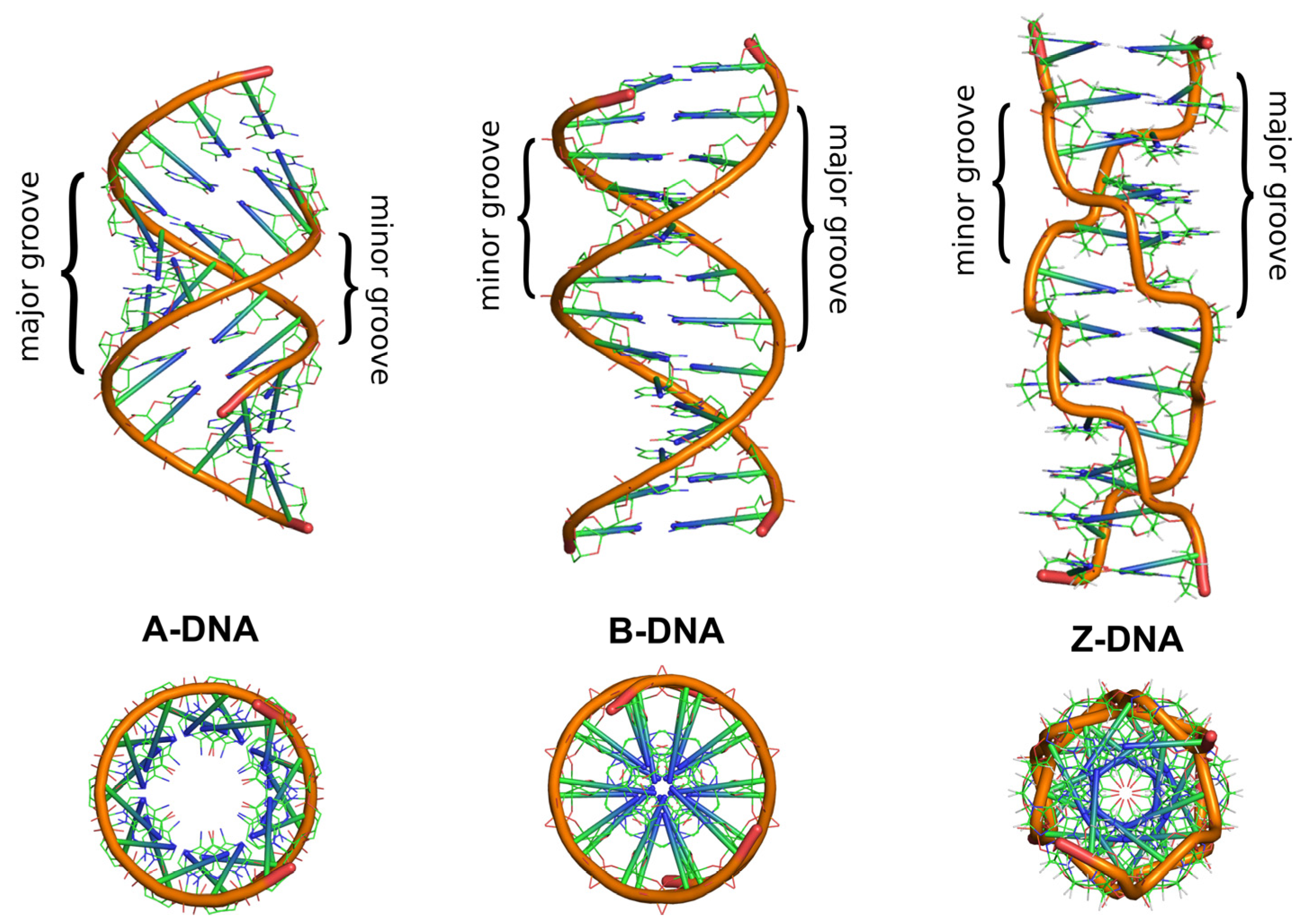Molecules 29 04683 g002