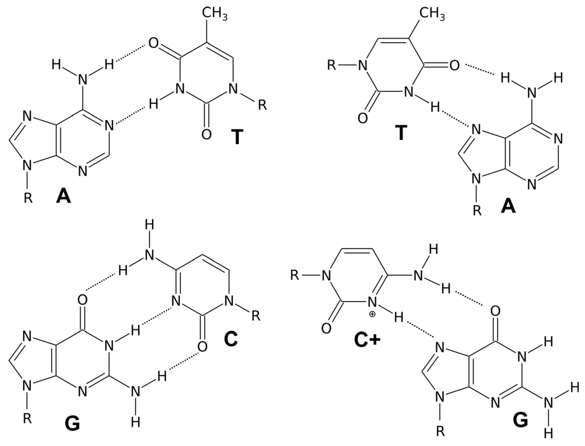 Molecules 29 04683 g003