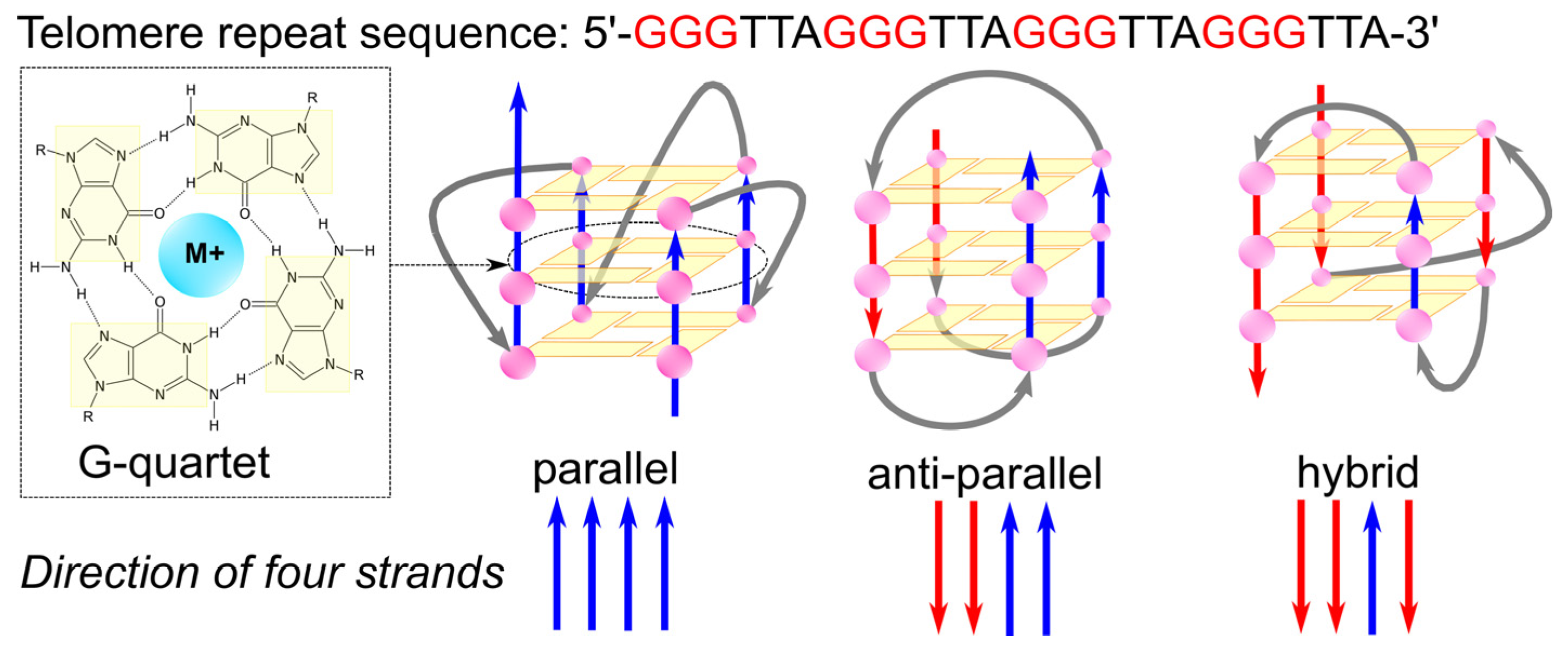 Molecules 29 04683 g005