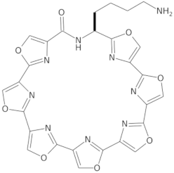 Molecules 29 04683 i004