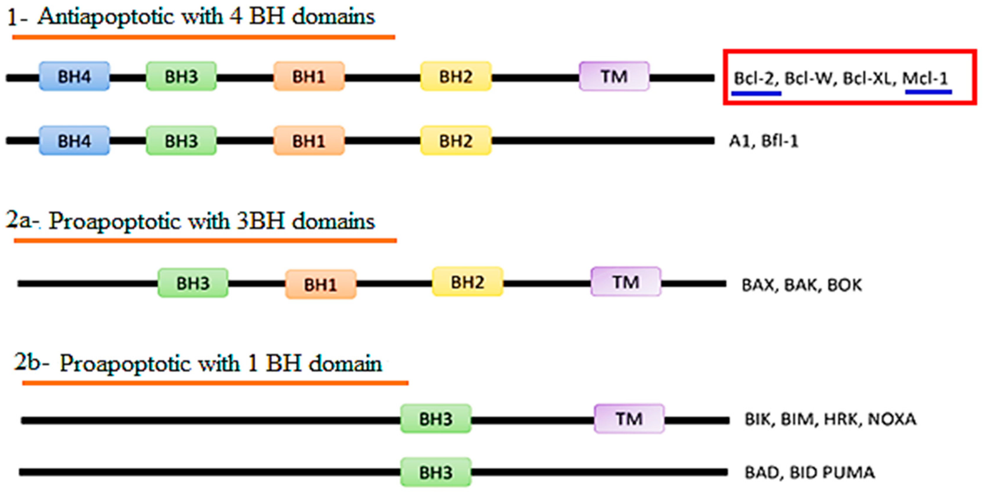 Molecules 29 04697 g001