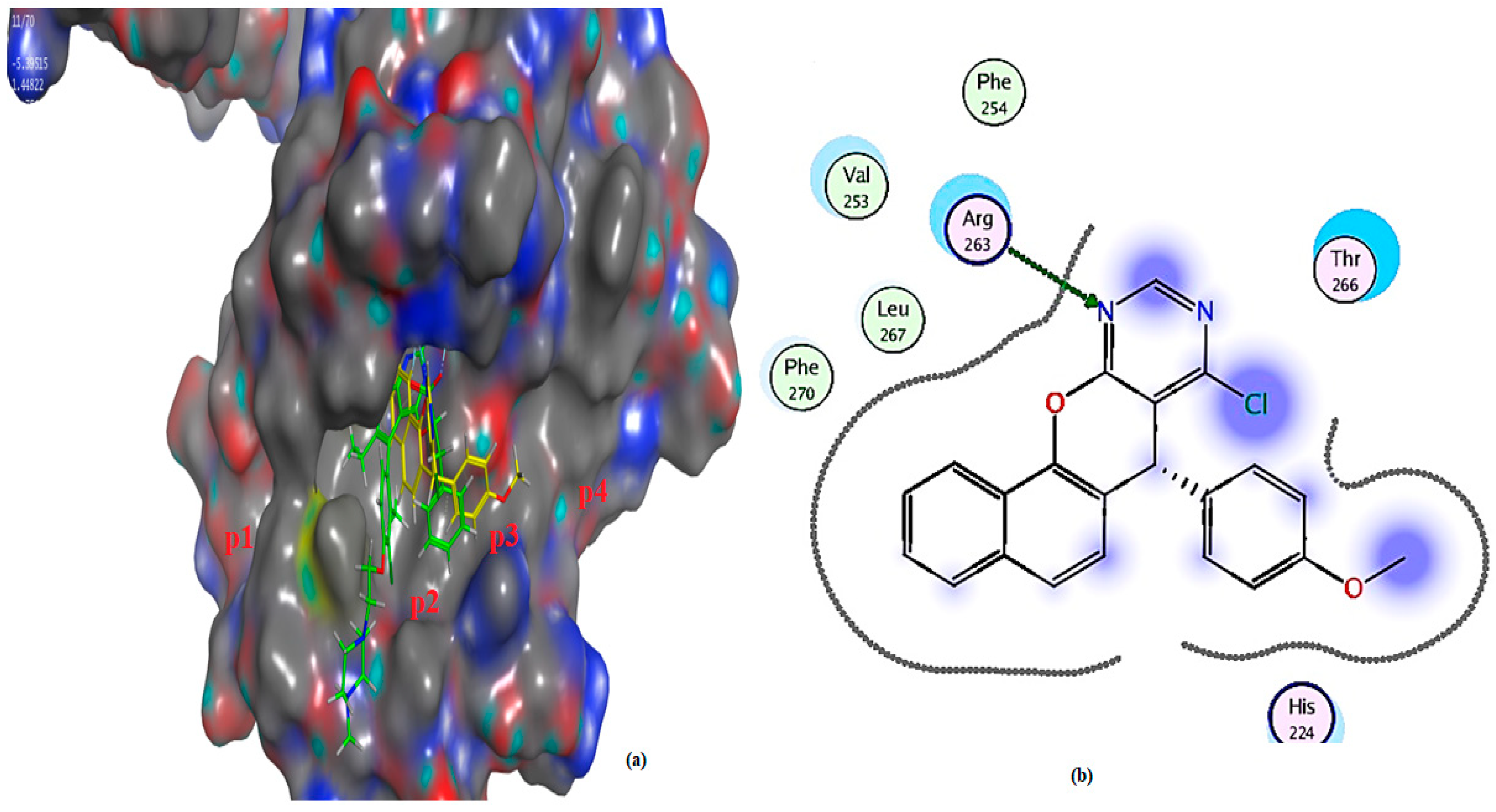Molecules 29 04697 g013