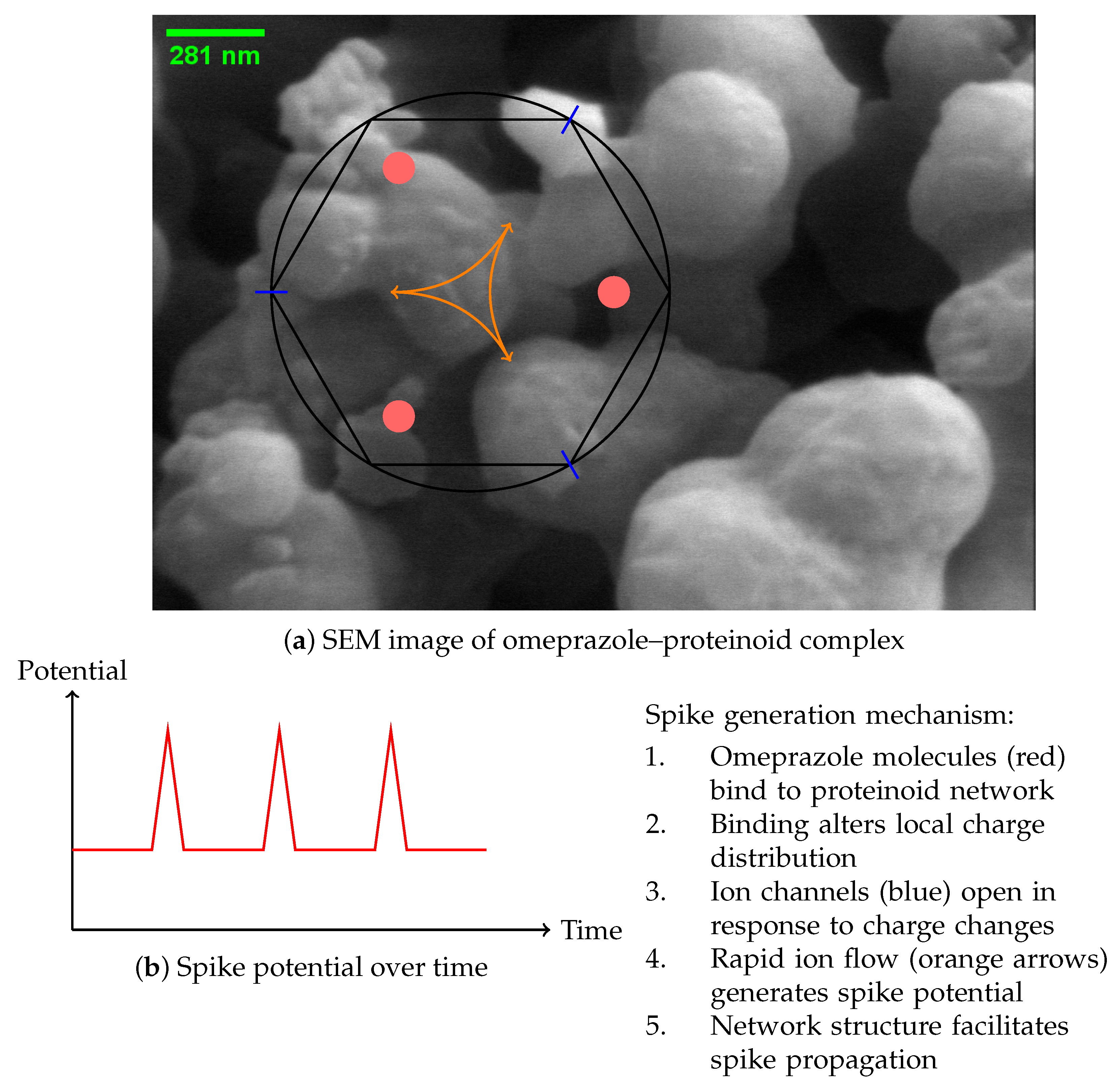 Molecules 29 04700 g011