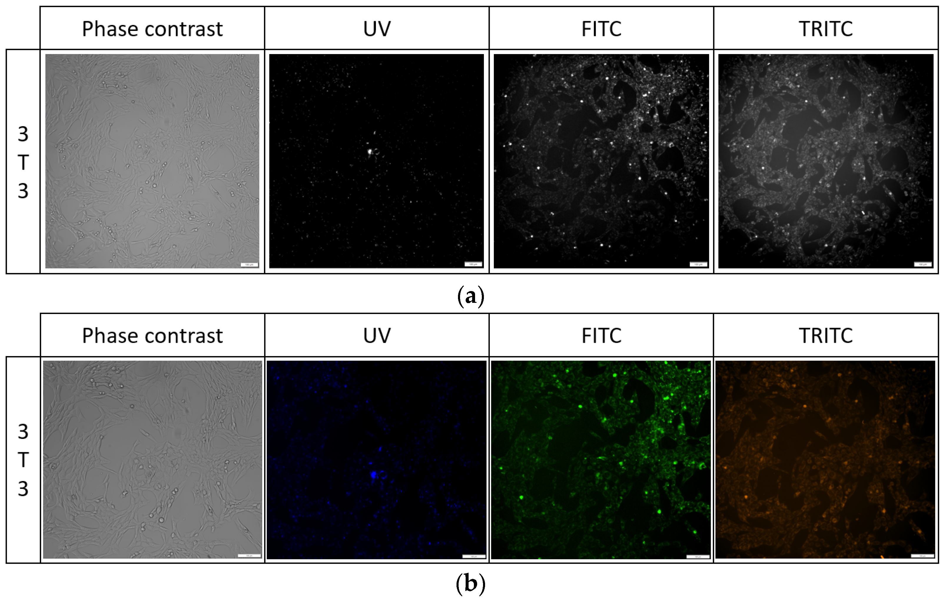 Molecules 29 04703 g010