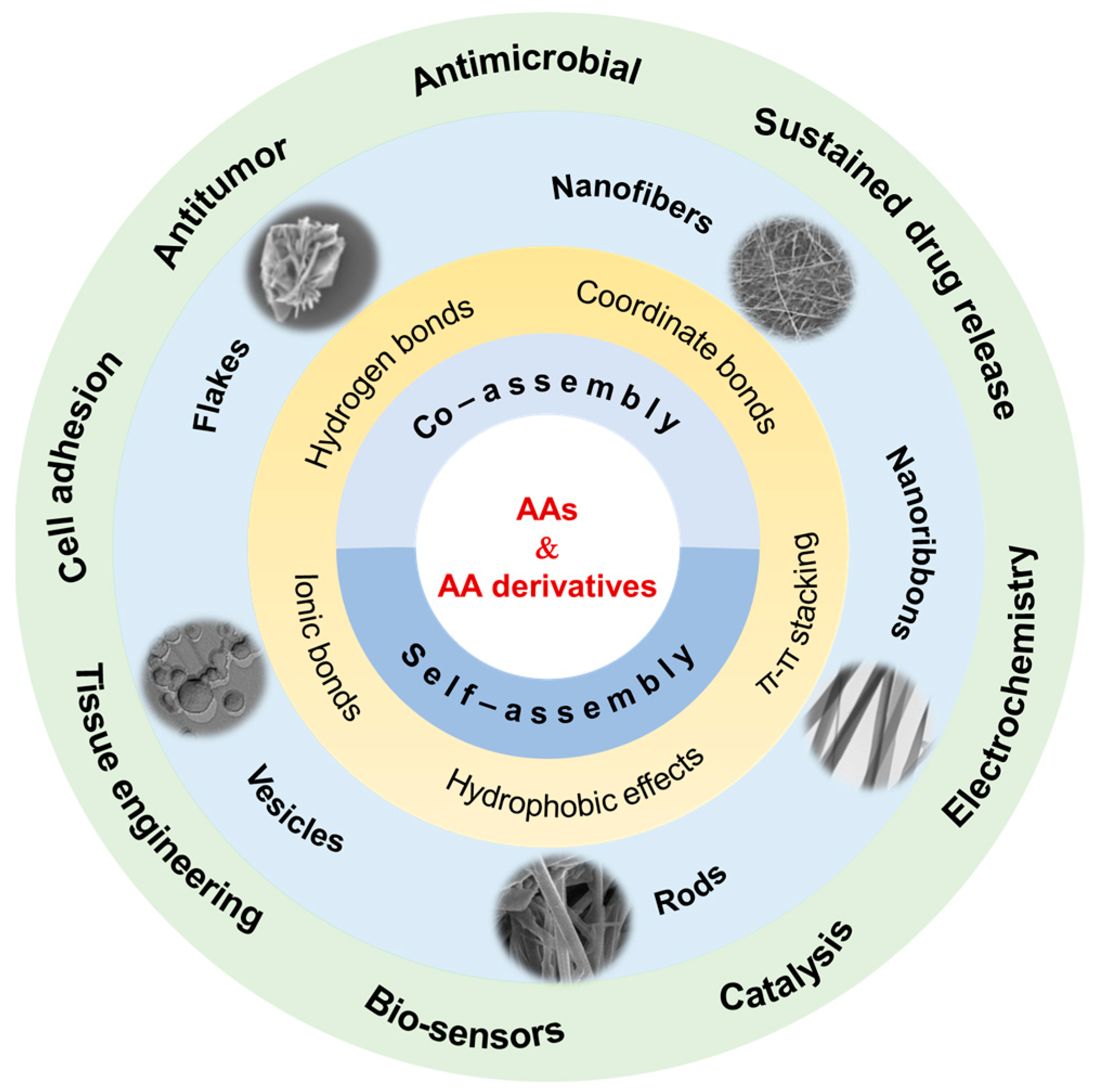 Molecules 29 04705 g001 Molecules 29 04705 g001