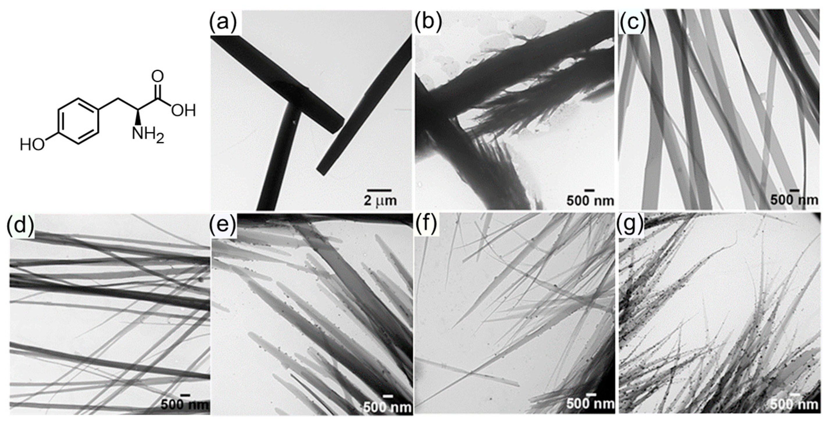Molecules 29 04705 g002 Molecules 29 04705 g002