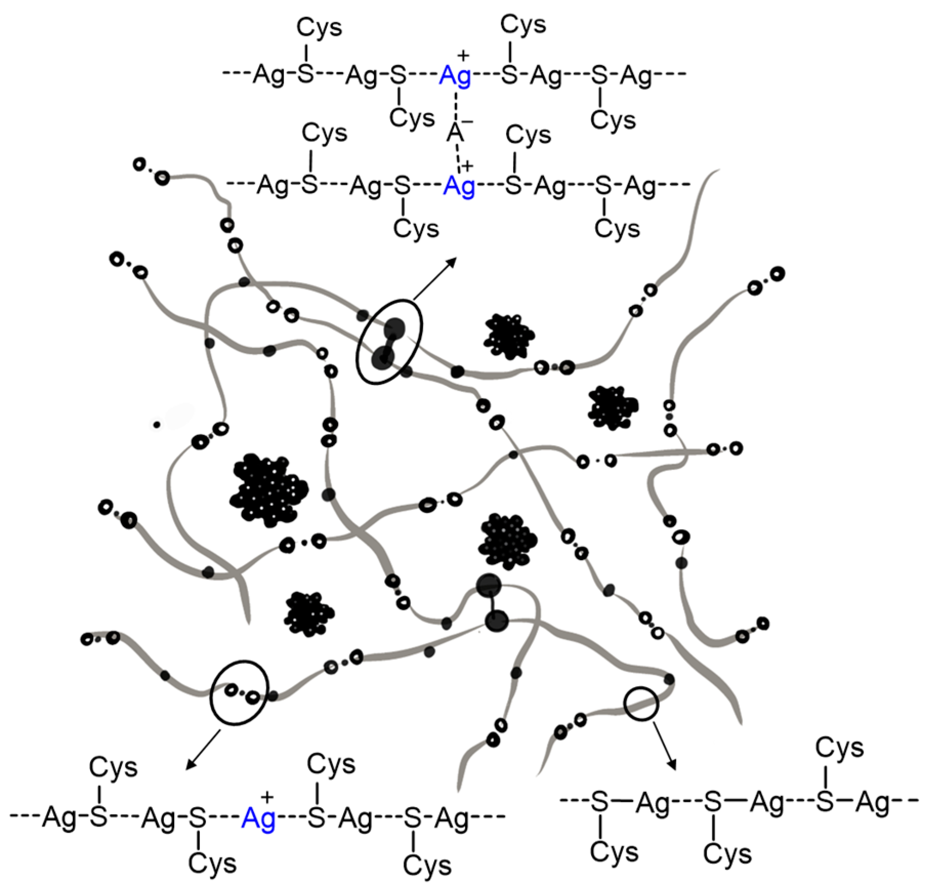 Molecules 29 04705 g006 Molecules 29 04705 g006