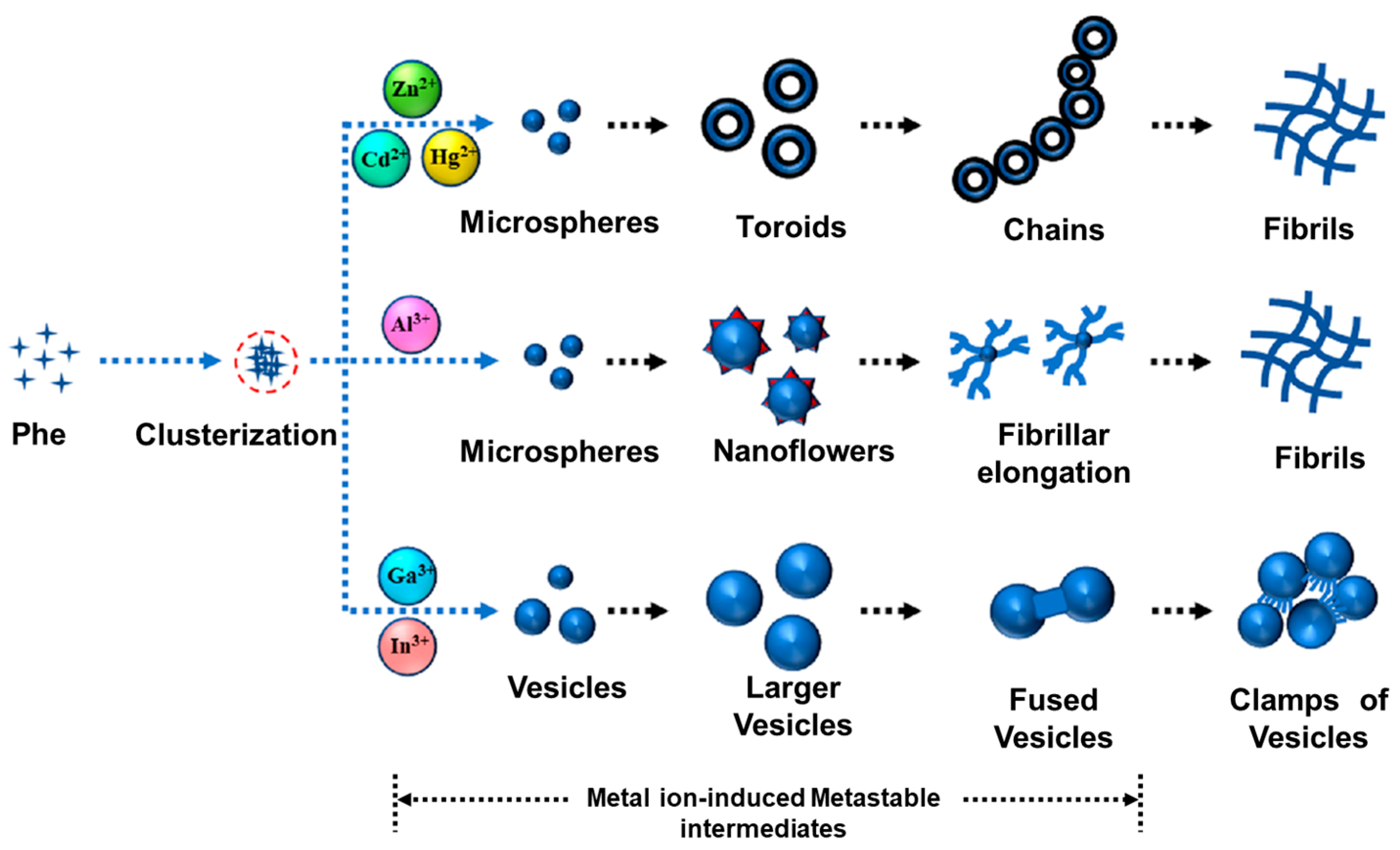 Molecules 29 04705 g007 Molecules 29 04705 g007